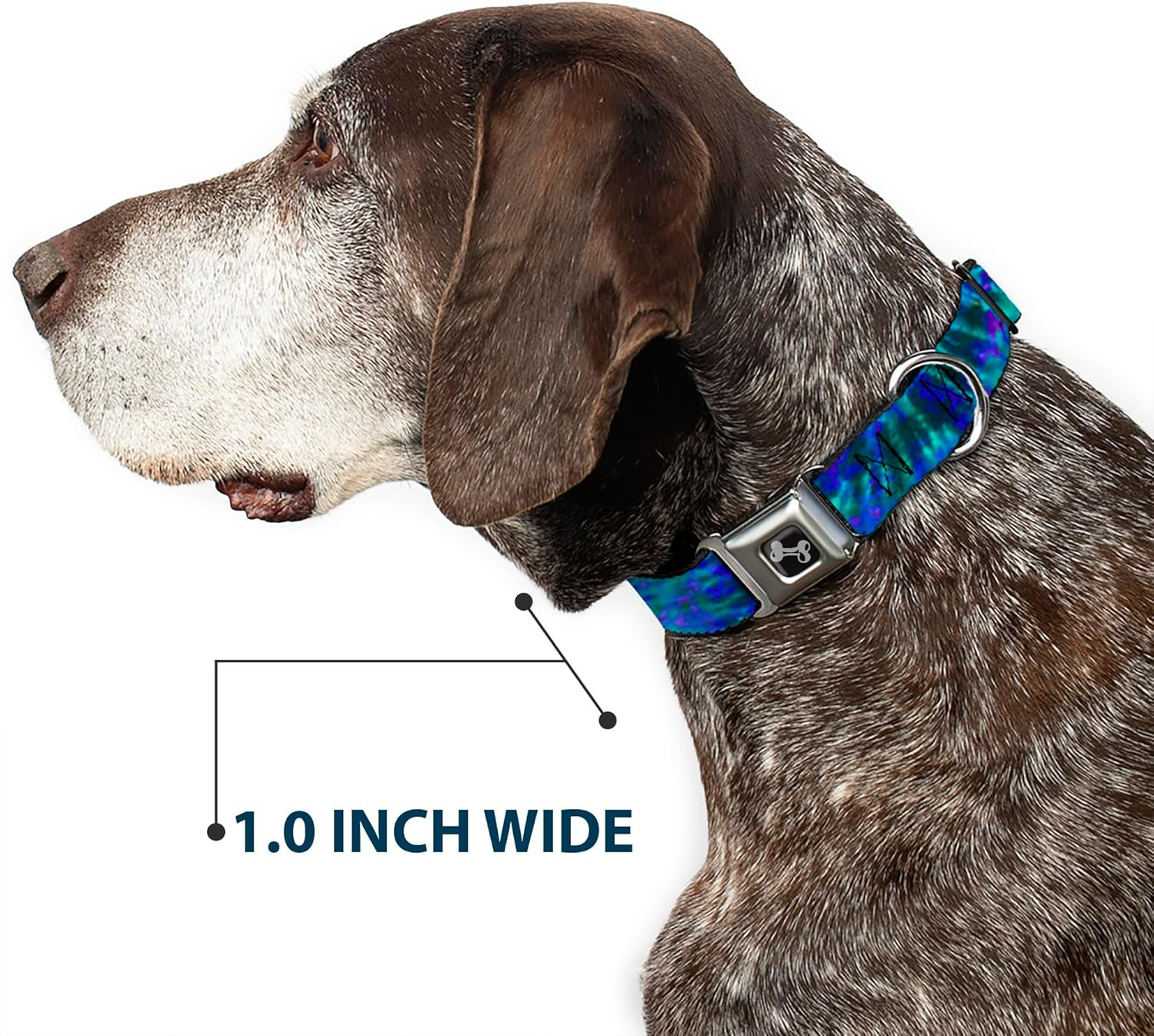 Buckle-Down Seatbelt Buckle Dog Collar - Tie Dye Green/Blue/Purple - 1" Wide - Fits 15-26" Neck - Large image number 1