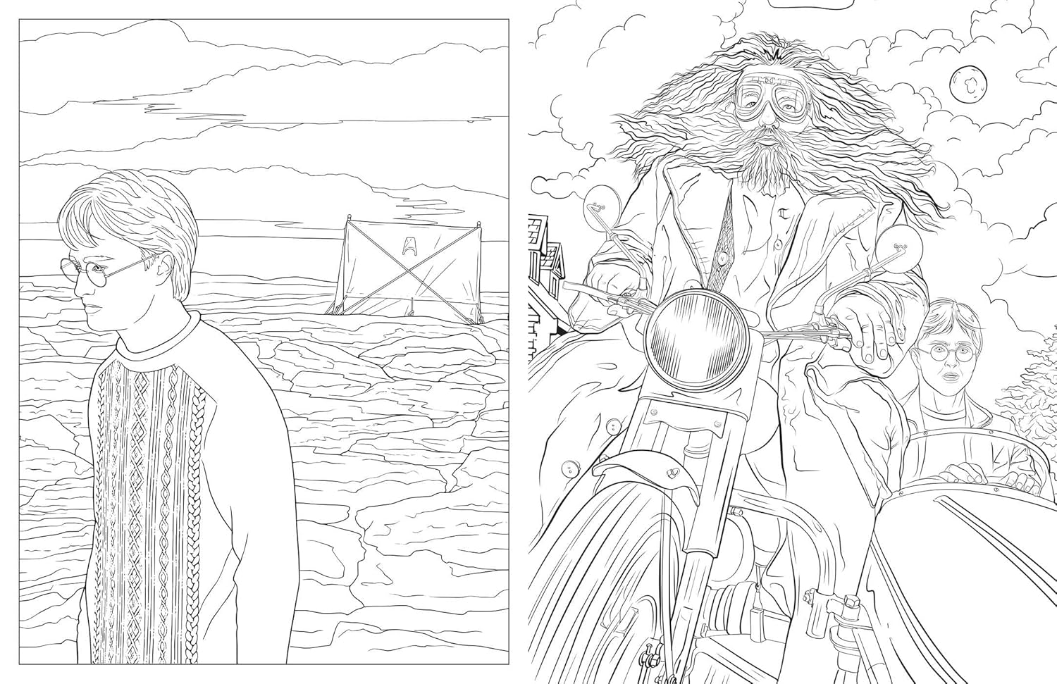 Harry Potter: Travels through the Wizarding World: an Official Coloring Book image number 4