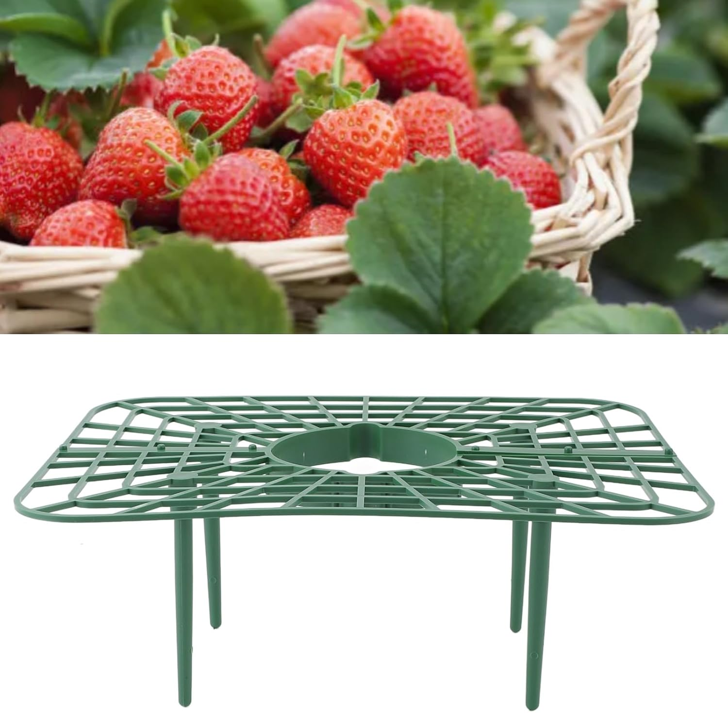 20 Pcs Strawberry Plant Support, Multifunction Plant Growing Rack Reusable Growing Holder with Support Foot Stable Plant Display Stand Rack for Garden Planting image number 3