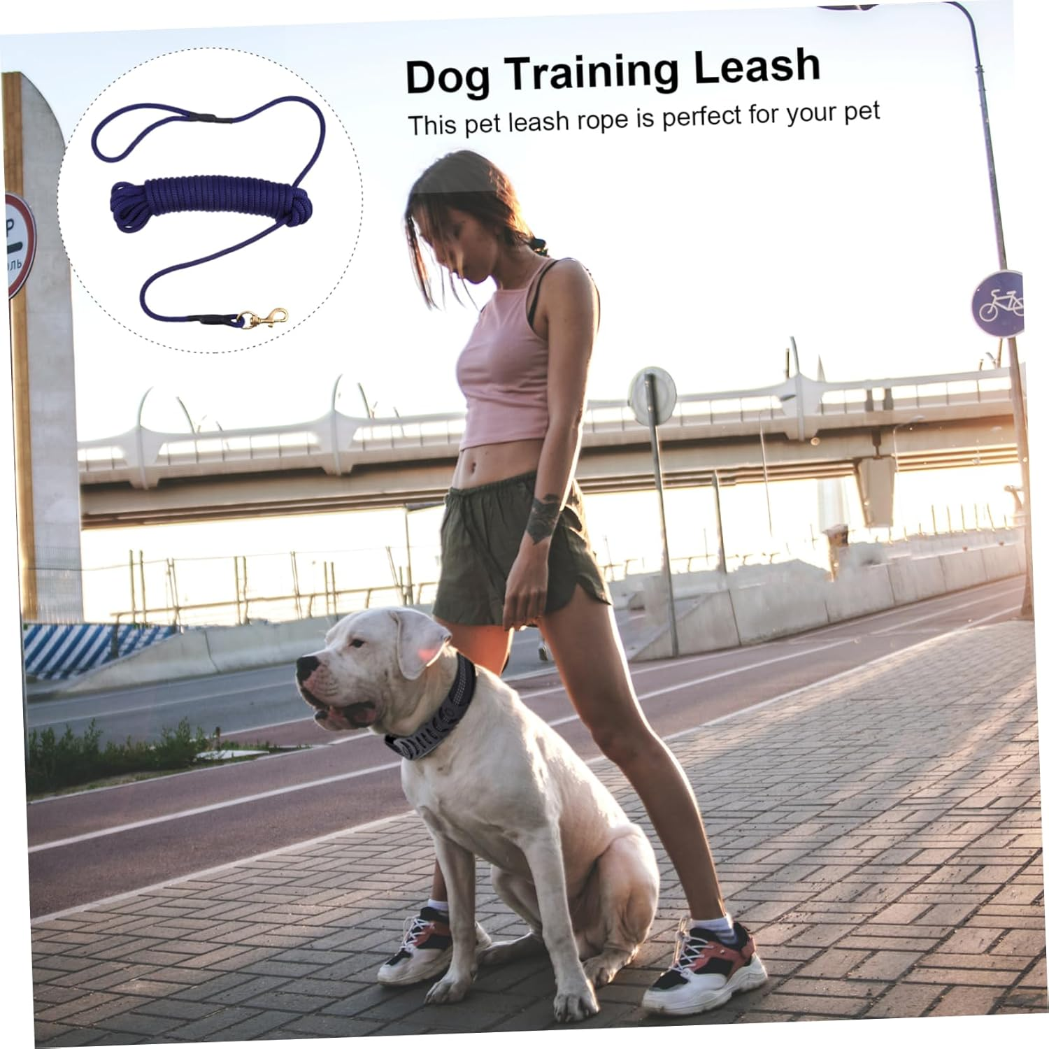 Thick Dog Leash for Outdoor Training Bite Resistant for Walking Running Hiking Camping Large Breeds Provides Control Safety - Blue image number 5