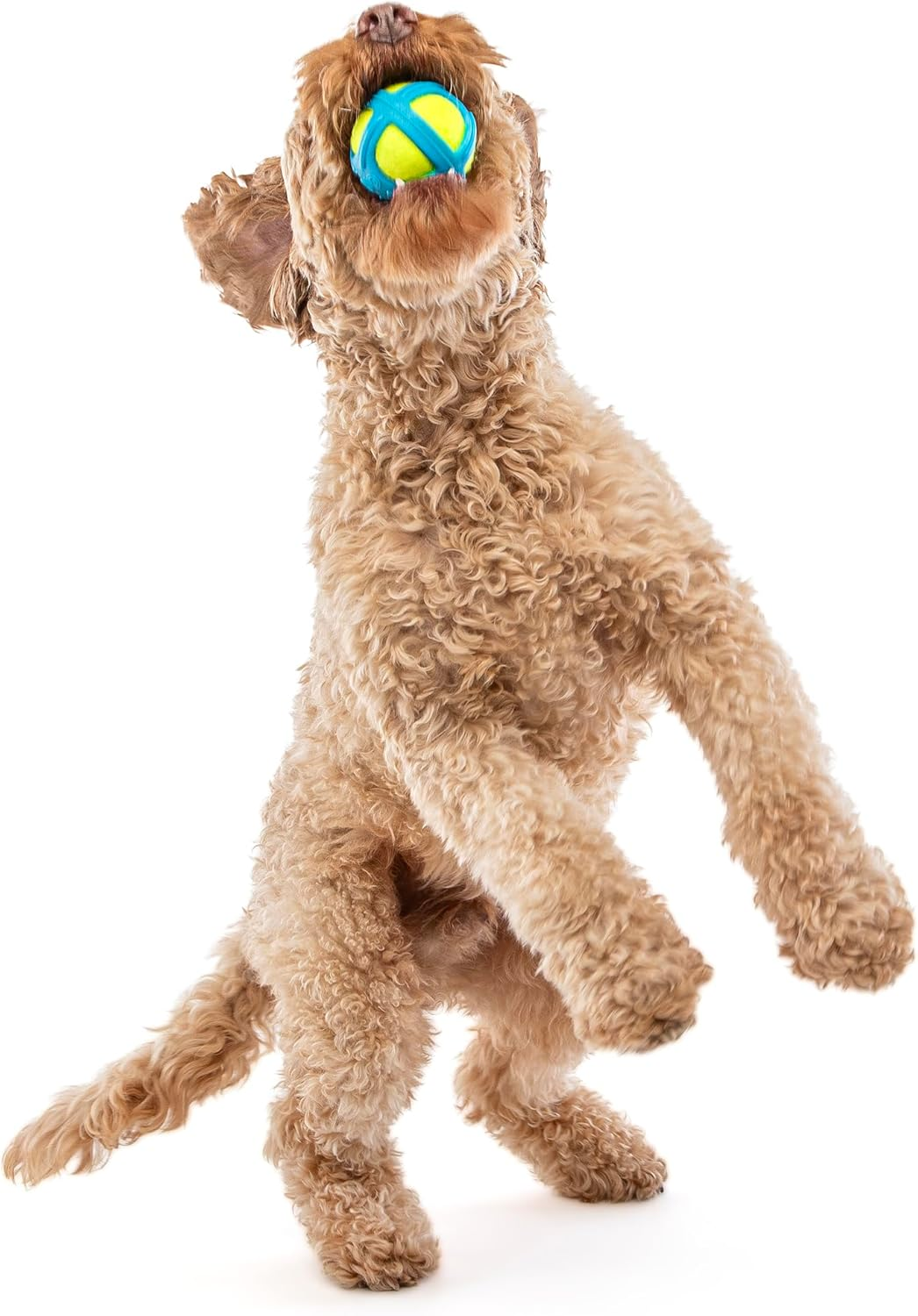 GURU Tennis Max Ball Medium 7X7X7Cm image number 3