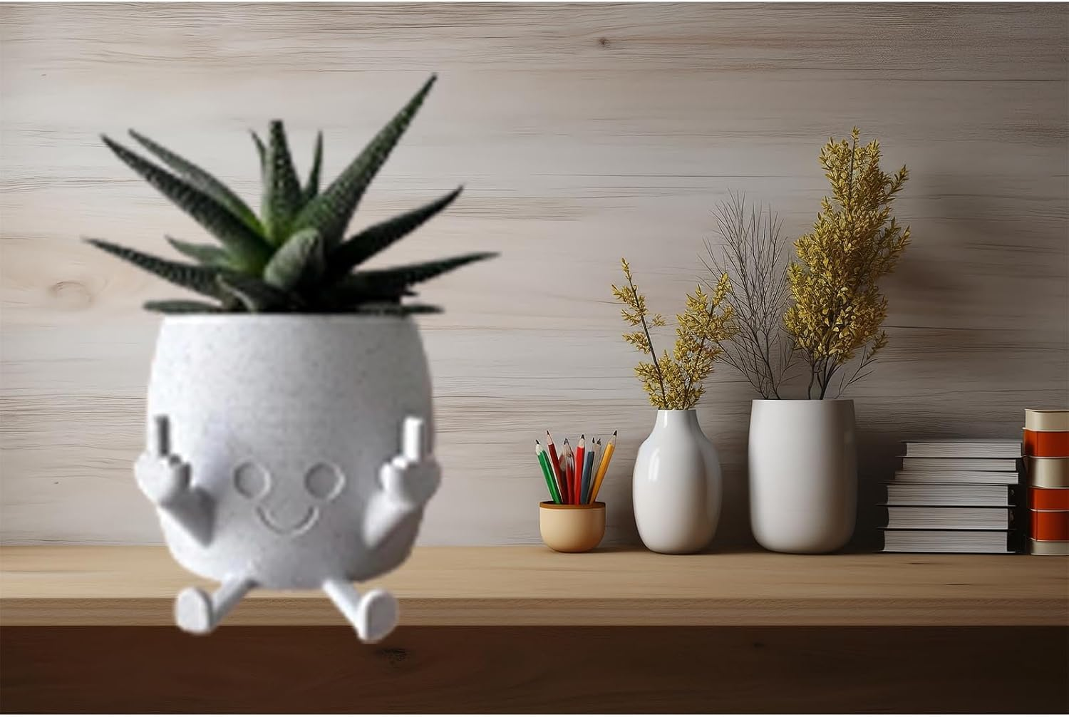 Smiling Plant Pot with Middle Fingers Up, Unique Cute Flower Pots for Succulents Middle Finger, Funny Expression Indoor Plant Pot for Plant Lover image number 6