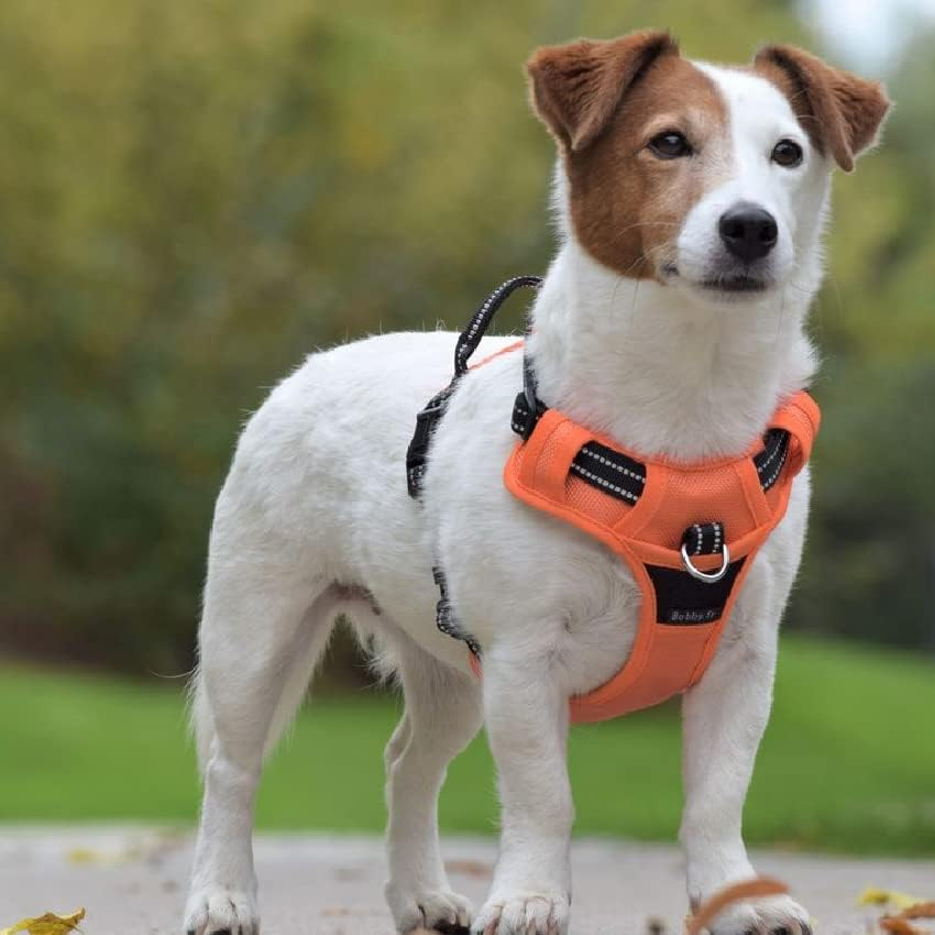 Bobby Rando Walk Dog Harness for Medium Small Large Dogs Nylon Safe Comfortable Reflective Adjustable Red S/32-48 X 1.6Cm image number 6