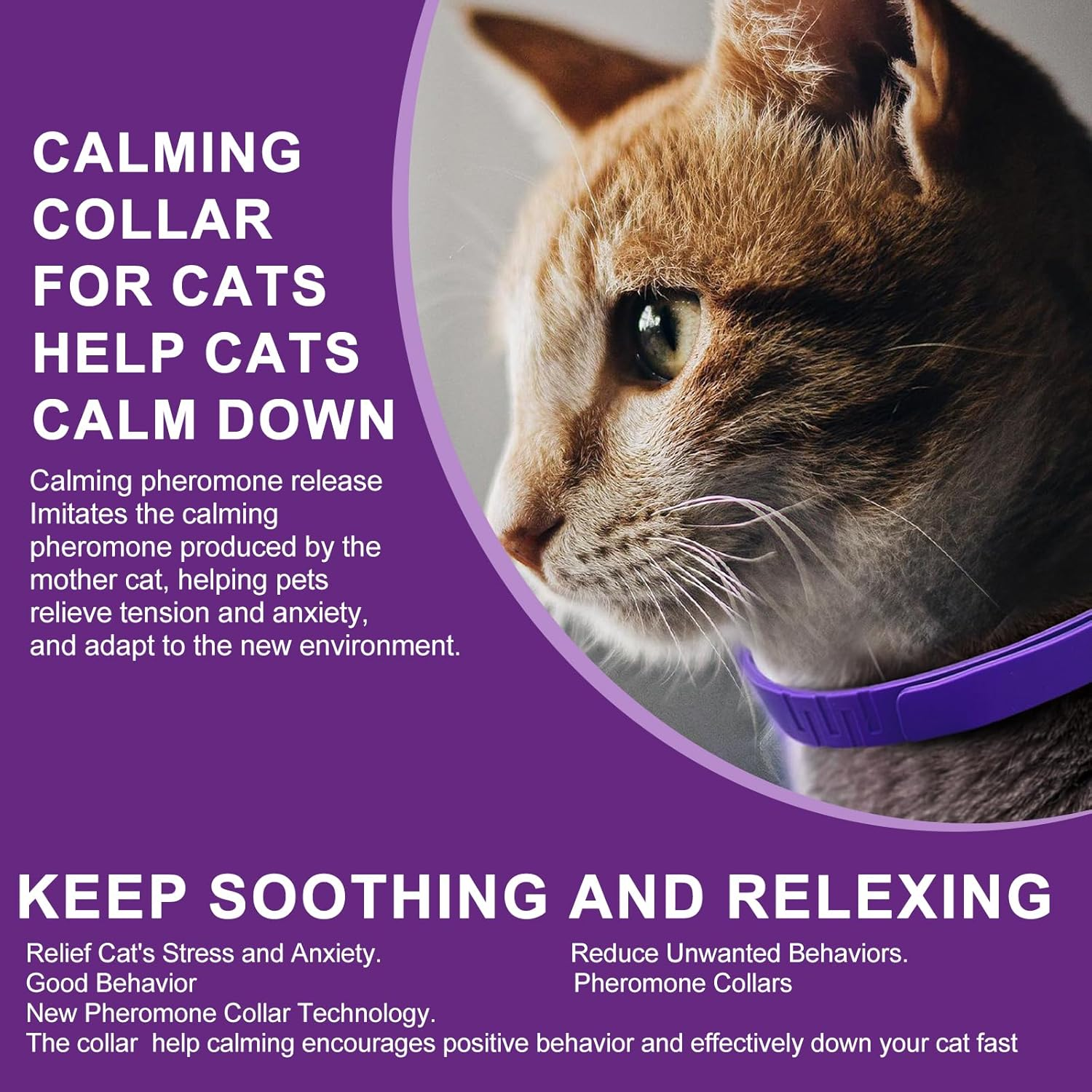 Cat Calming Collar with Pheromone & Lavender, Adjustable Waterproof Design, 30-Day Anxiety Relief, 4-Pack for Multi-Cat Stress & Travel image number 3