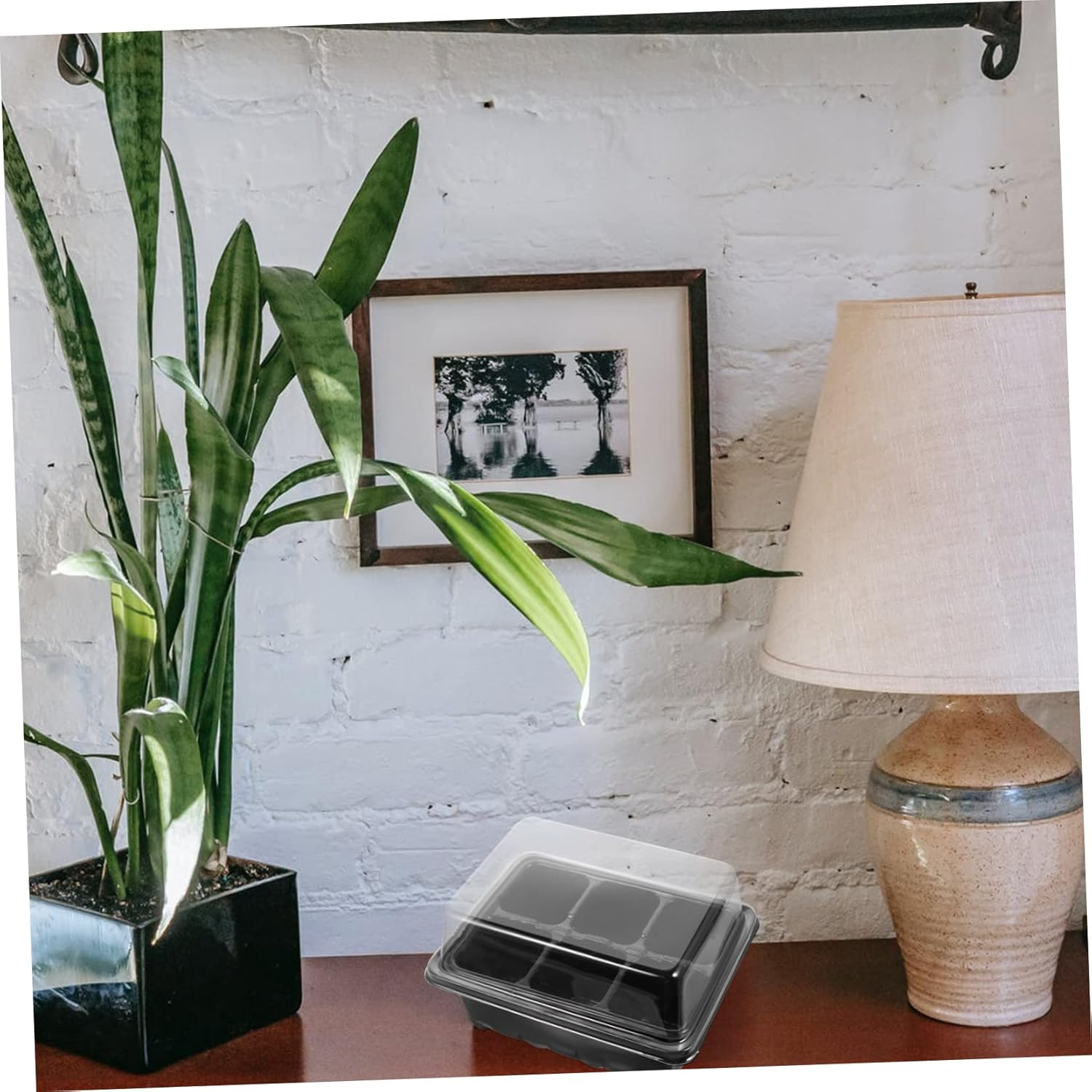 Garden Propagator Set 10 Pack Trays Lid and Bottom Holes for Healthy Plant Growth image number 1