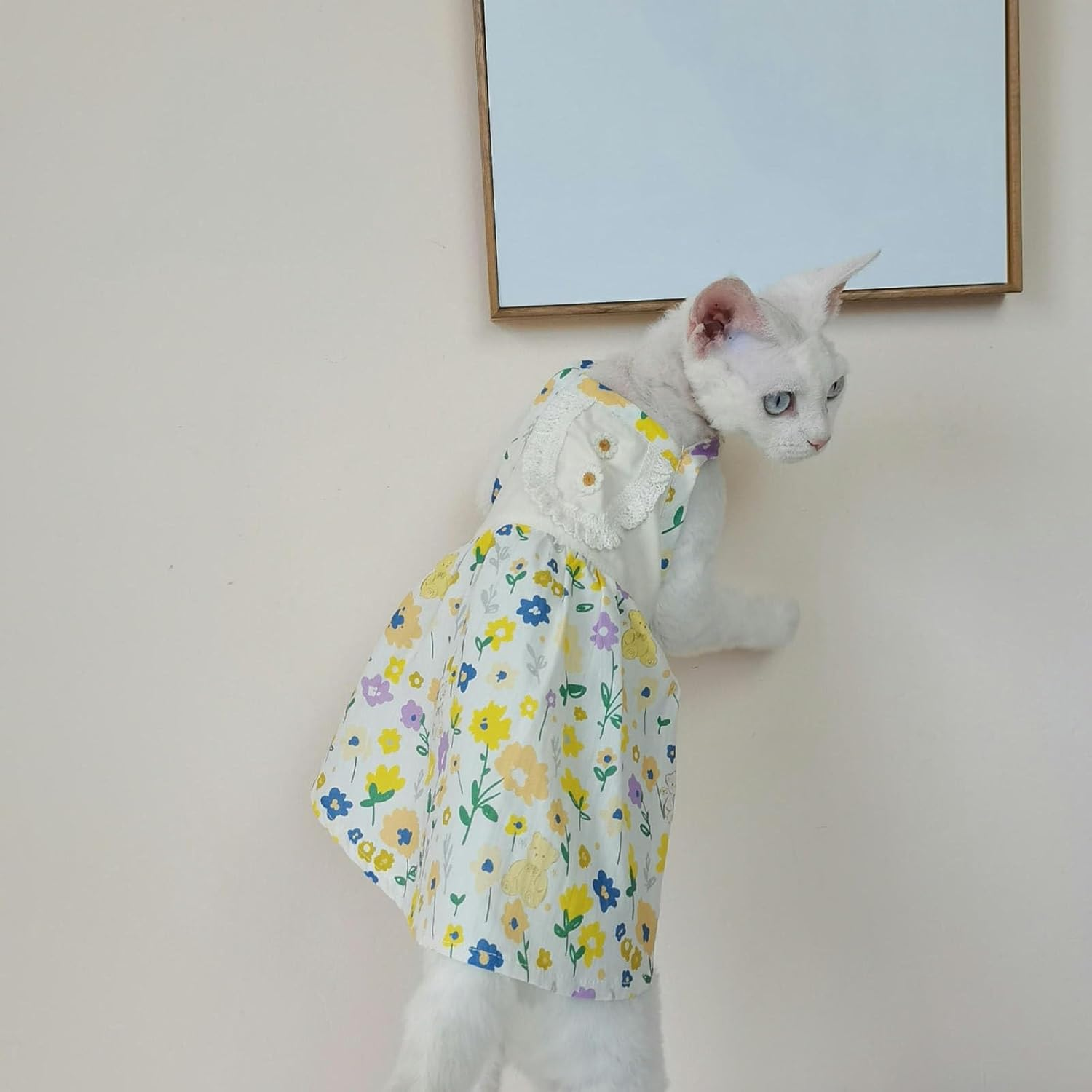 IUOUTG Cute Hairless Sphynx Cat Clothes Soft Hairless Cat Princess Dress Thin Pet Pullover Vest Breathable Kitten Pajamas Cat Apparel Cat Skirt for Cornish Rex, Devon Rex image number 2