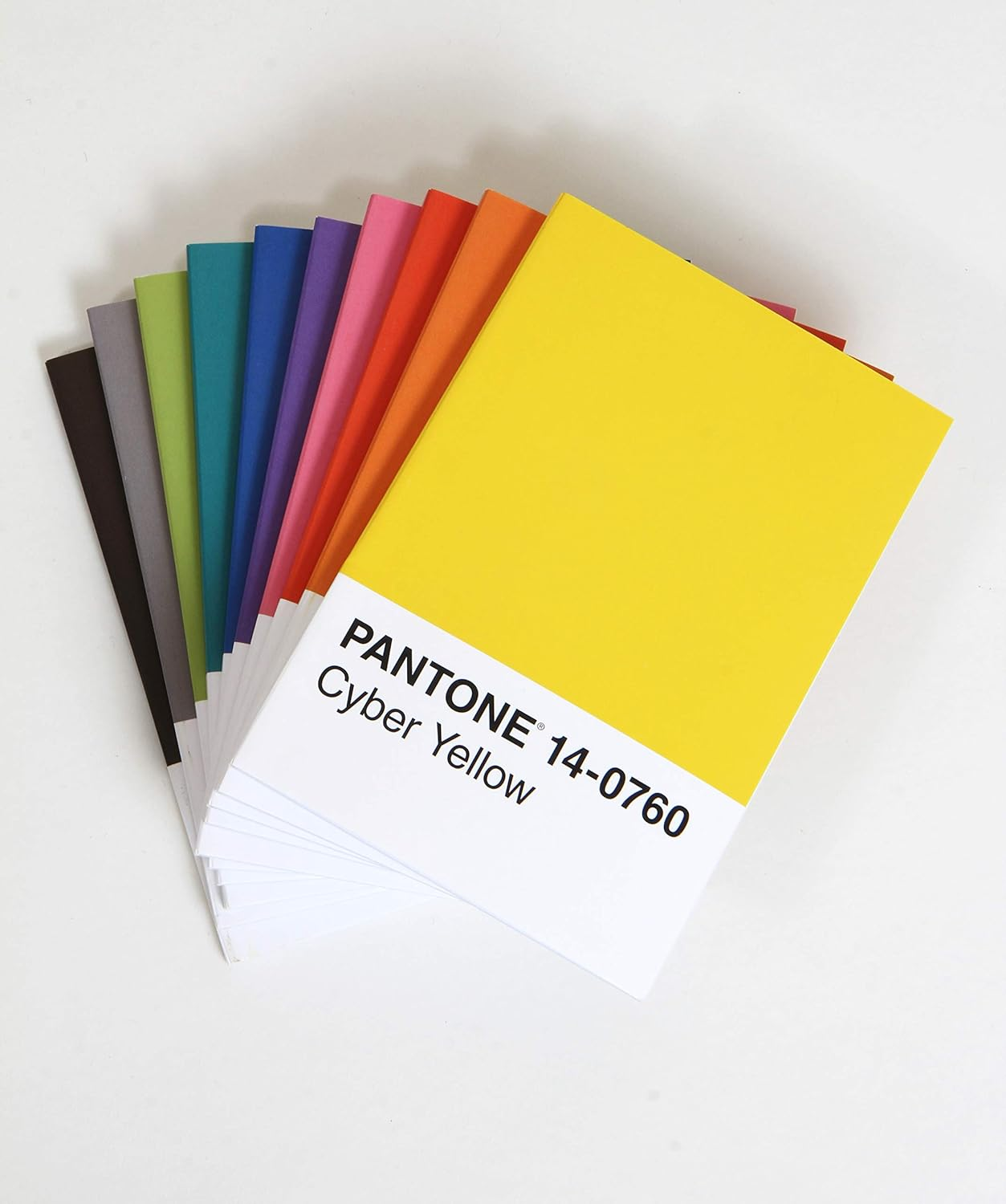 Chronicle Books Pantone 10 Notebooks