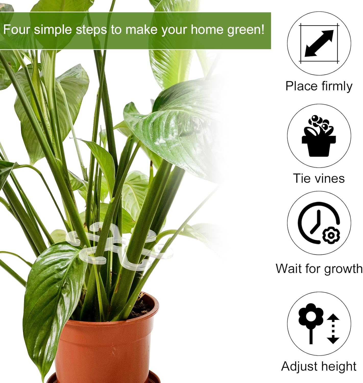 4Pcs Climbing Plant Stem Supports with Holes, 2 Sizes Flower Plant Stem Hooks Trellis Plant Stem Support Hooks Climbing Rack for Vertical Growth (Transparent) image number 4