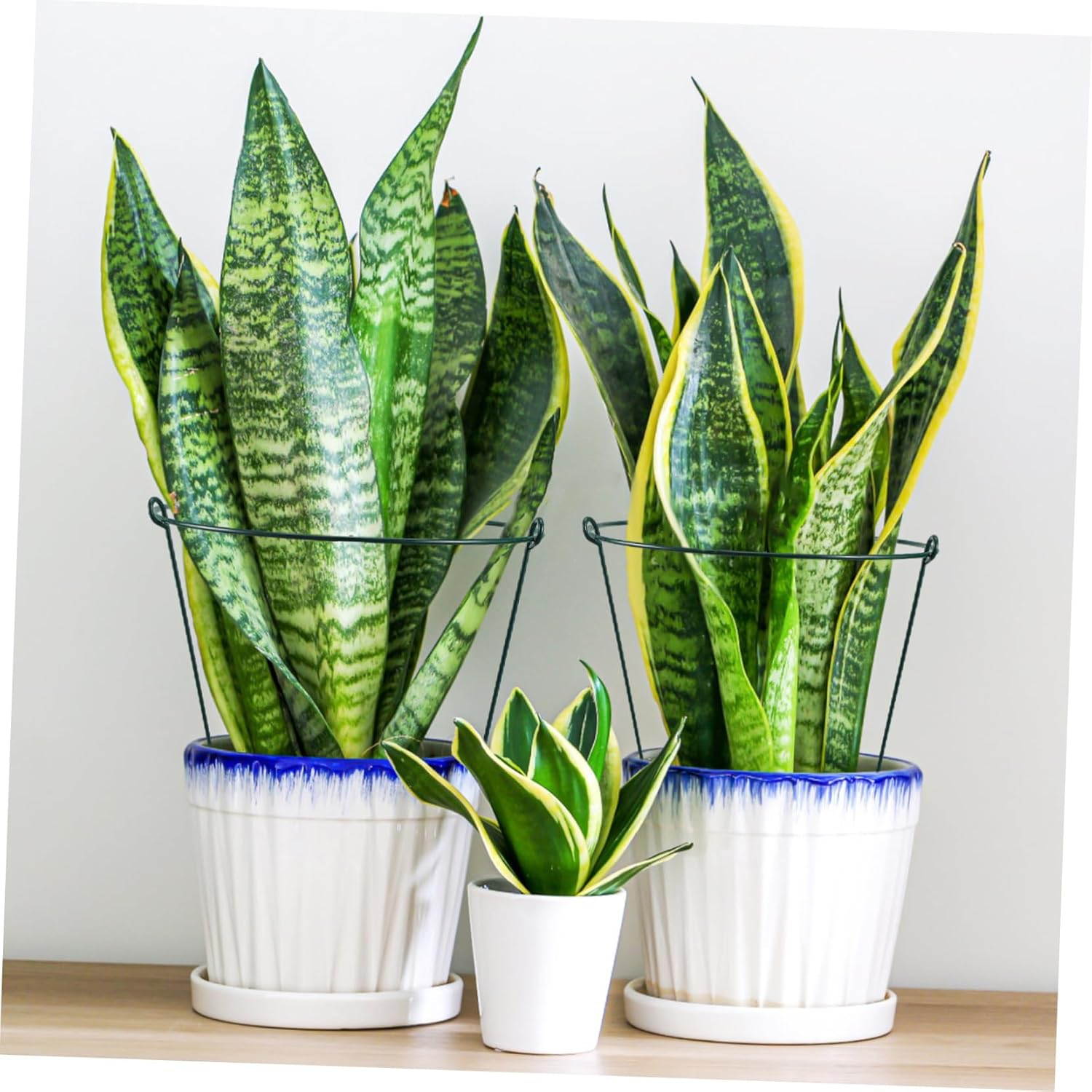 BUTIFULSIC 3Pcs Gardening Support Frame Peony Cages Plant Climbing Trellis Orchid Stakes Plant Bracket Garden Climbing Stakes Support Frames for Plant Vine Support Wrought Iron Green