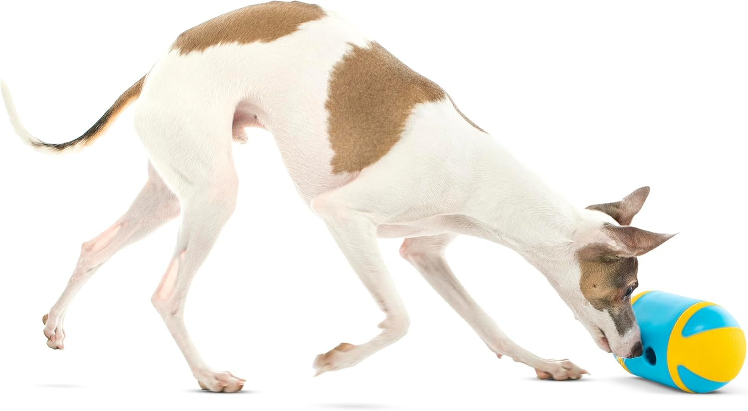 GURU Rock 'N Treat Medium 15X9X9Cm image number 1