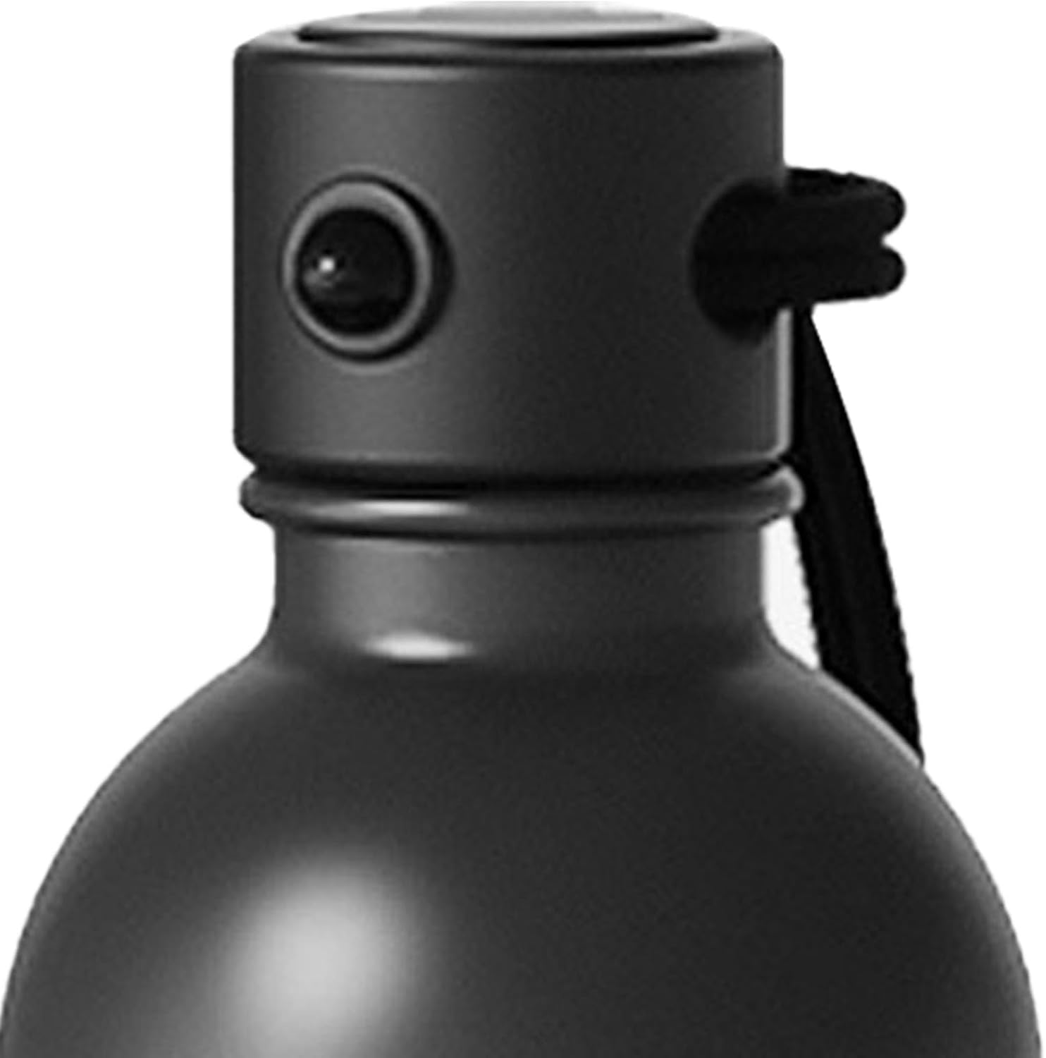 Gourd Water Bottle, PCTG Outdoor Water Bottle, Gourd Sports Travel Water Bottle Set, Multifunctional Gourd Drinking Cup Jug for Indoor Decoration, Office, Outdoor (Black) image number 3
