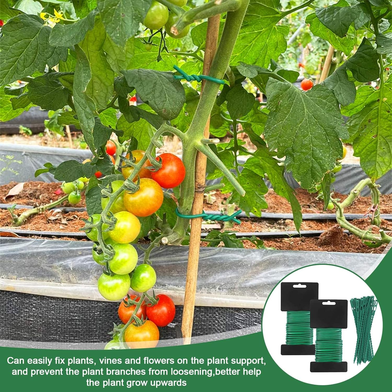 Garden Plant Twist Tie Set, 20M Soft Twist Ties with 100 Extra Plant Ties, Reusable Heavy Duty Soft Plant Metal Wire for Gardening, Inndoor, Outdoor, Plant Support image number 1