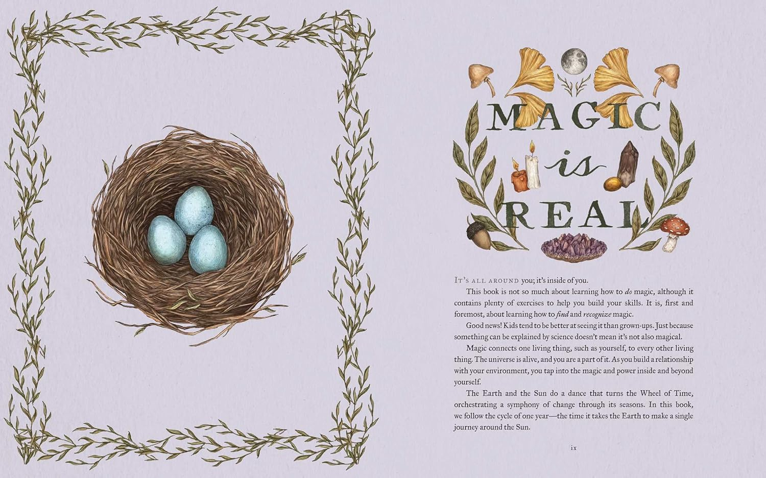 The Wheel of the Year: an Illustrated Guide to Nature'S Rhythms image number 2