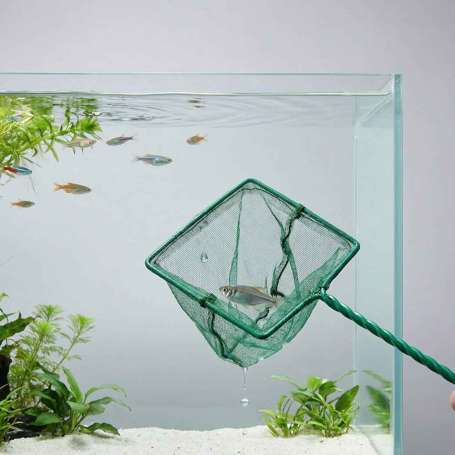 LEDON 2-Pack Fine Mesh Aquarium Fish Nets, 32Cm Small Fish Catcher Net for Shrimp, Fry, Tropical Fish - Safe Soft Green Nets for Freshwater & Saltwater Tanks, Ponds image number 6