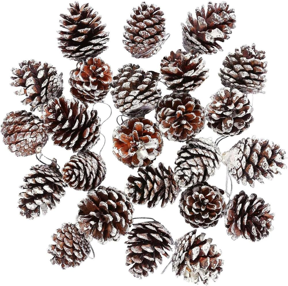 20 Pieces Christmas Pine Cones with String Mini Rustic Pinecones Bulk Rustic Snow Pinecones Ornaments for Xmas Tree Crafts Holiday Home Party (Brown, 5-6Cm)