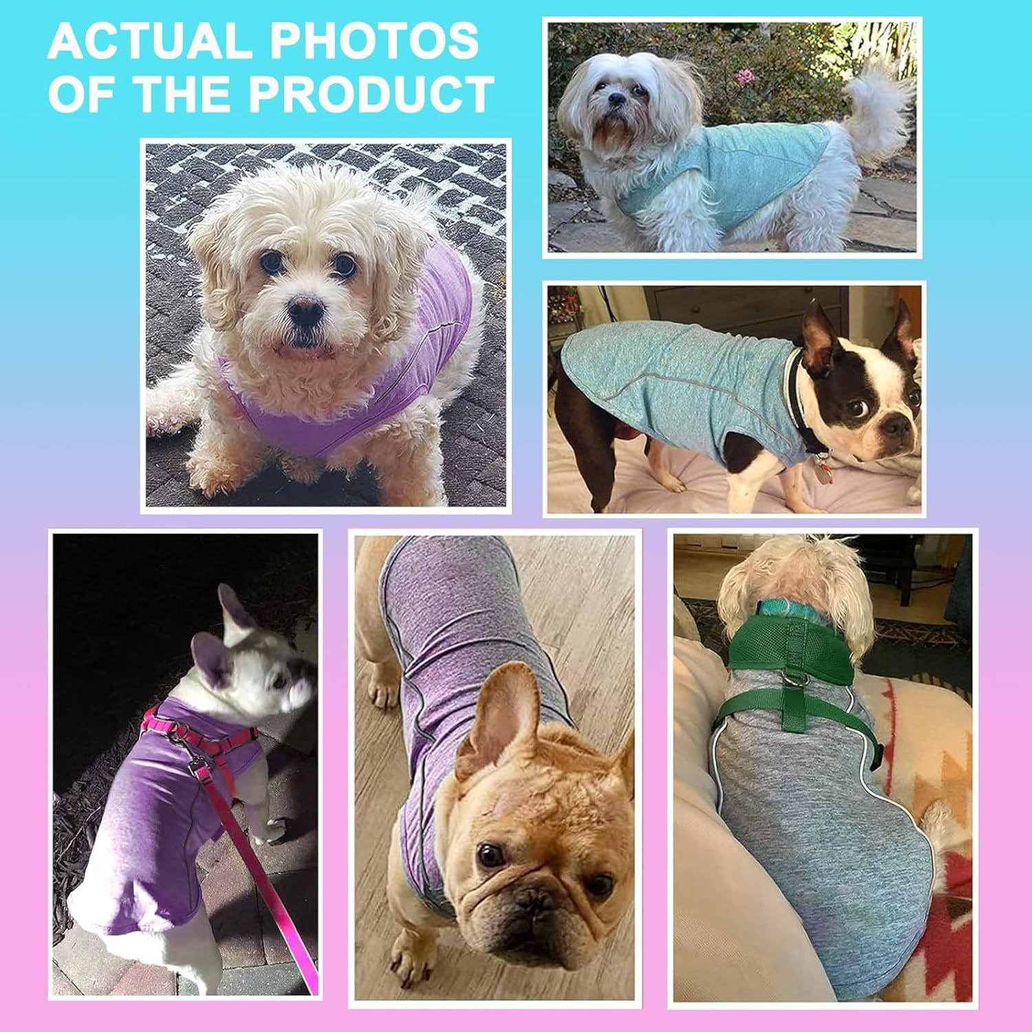 Pack of 2 Dog Shirts with Reflective Stripes, Athletic Tank Top, Dog Shirt for Small Dogs, Breathable Sleeveless Dog Vest, Lake Blue + Purple, M image number 1