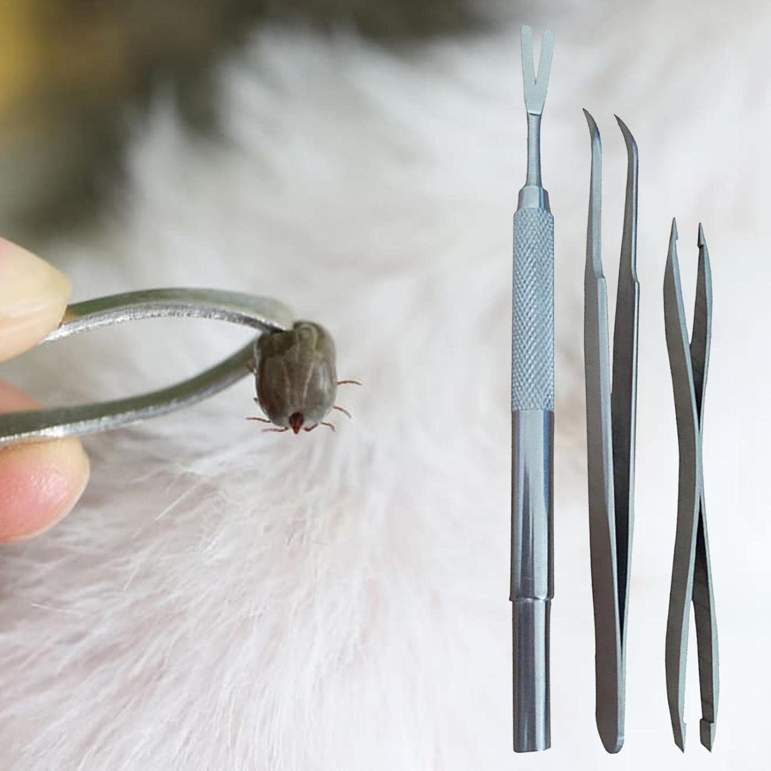 Tick Remover Kit, Pet Tick Tongs,Quick Safe Cat Dog Stick Tweezers Stainless Steel Tick off Tool For, Cat, Human with Storage Box(Pack of 3) image number 5