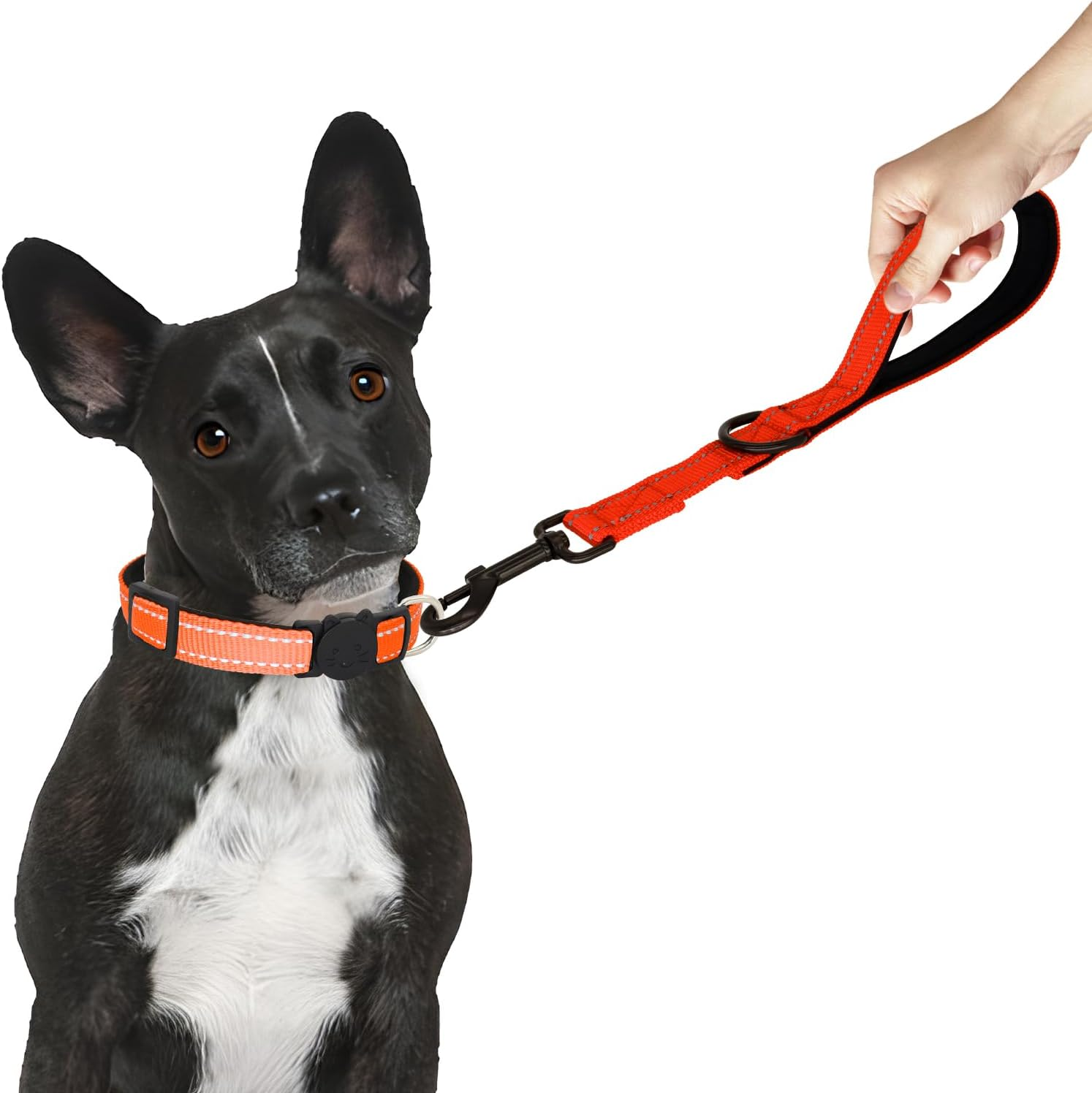 Giecoon Short Dog Leash, Reflective Traffic Leash with Padded Handle, 1 FT Nylon Training Leashes for Small Meidum Large Dogs, Orange - Purple image number 4