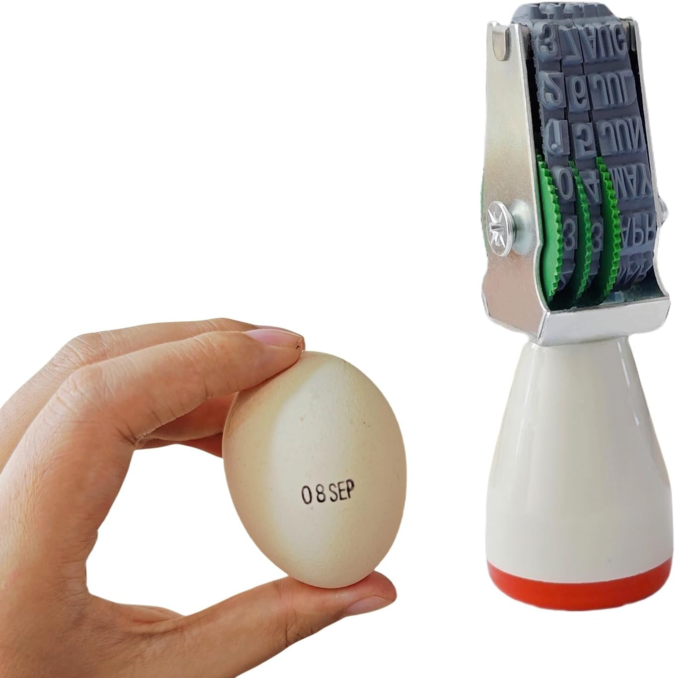 Egg Date Stamp for Fresh Eggs, Rubber Egg Stamper, Suitable for Chicken Duck Turkey Goose Eggs image number 1