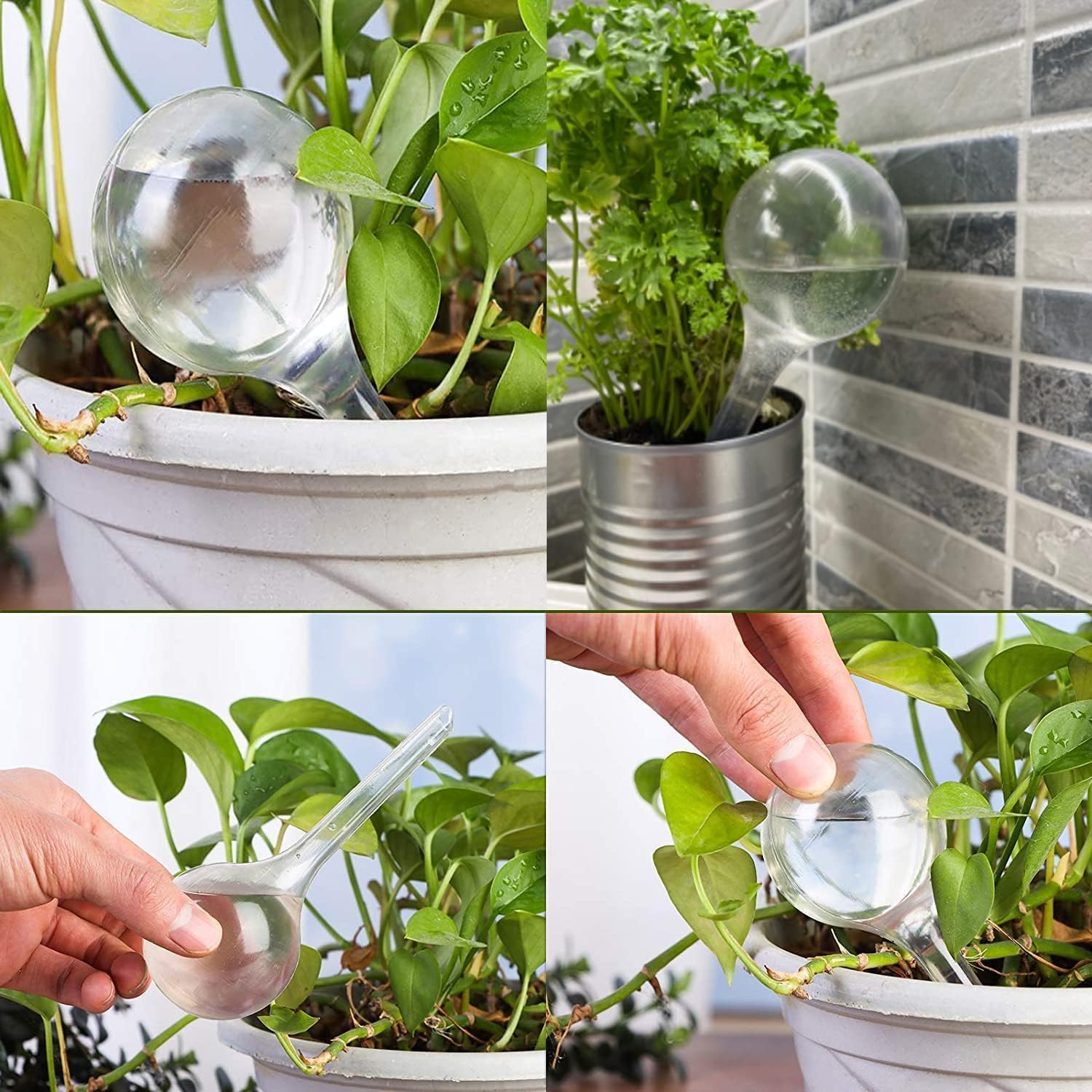Clear Plastic Self-Watering Globes Plant Watering Bulbs, 10Pcs Plant Watering Bulbs Self-Watering Globes,Garden Water Device Watering Bulbs,Plant Watering Bulbs Automatic Self-Watering Globes image number 3