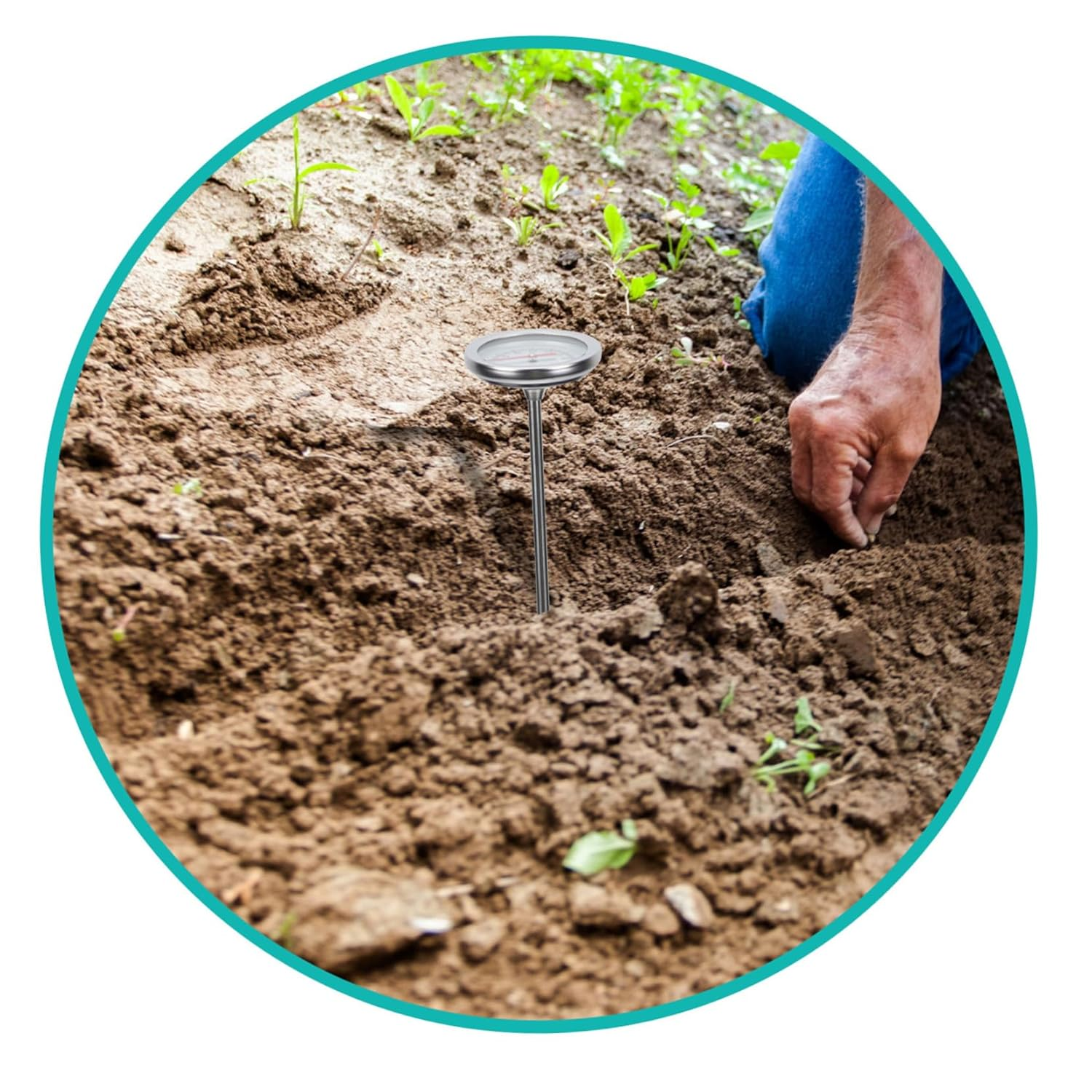 UPKOCH Stainless Steel Soil Thermometer Probe Garden Temperature Measuring Tool for Transplanting and Composting Physical Sensor Accurate C- Gardening Instrument image number 5