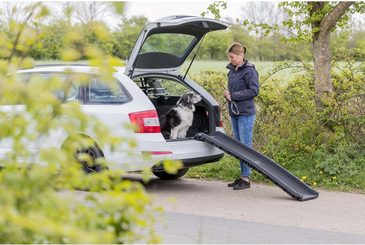 Trixie Petwalk Plastic Ramp for Dogs, 156 X 8 X 40 Cm Size - Foldable Ramp image number 6