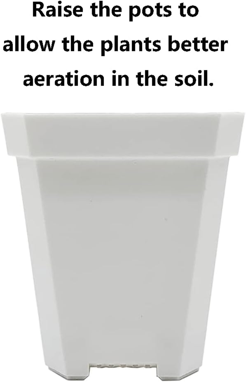 Sagasave 12 Sets Plants Nursery Pot, 15.5Cm Plastic Square Nursery Flower Pots with Humidity Dome and Tray, Small Flower Plant Container for Seedlings, Cuttings, Transplanting (Transparent) image number 4