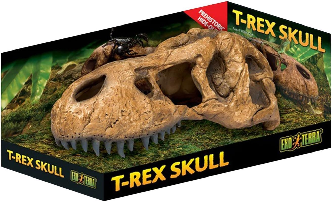 Exo Terra T-Rex Skull Terrarium Decor image number 1