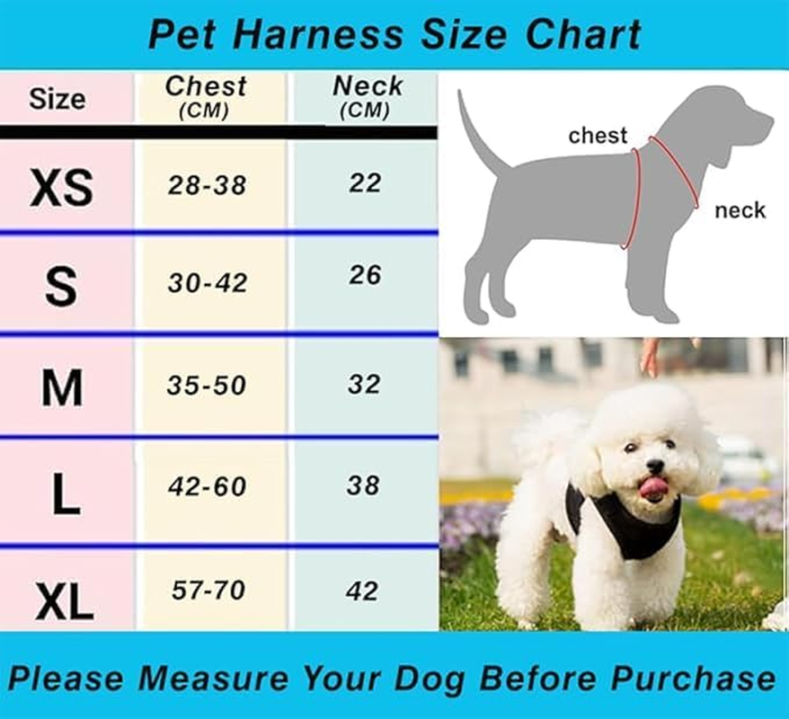 Beiqilian Soft Mesh Air-Mesh Dog & Cat Harness - Comfortable Padded Vest for Puppies and Cats - Breathable No Pull Harness (Black) (Small) image number 1