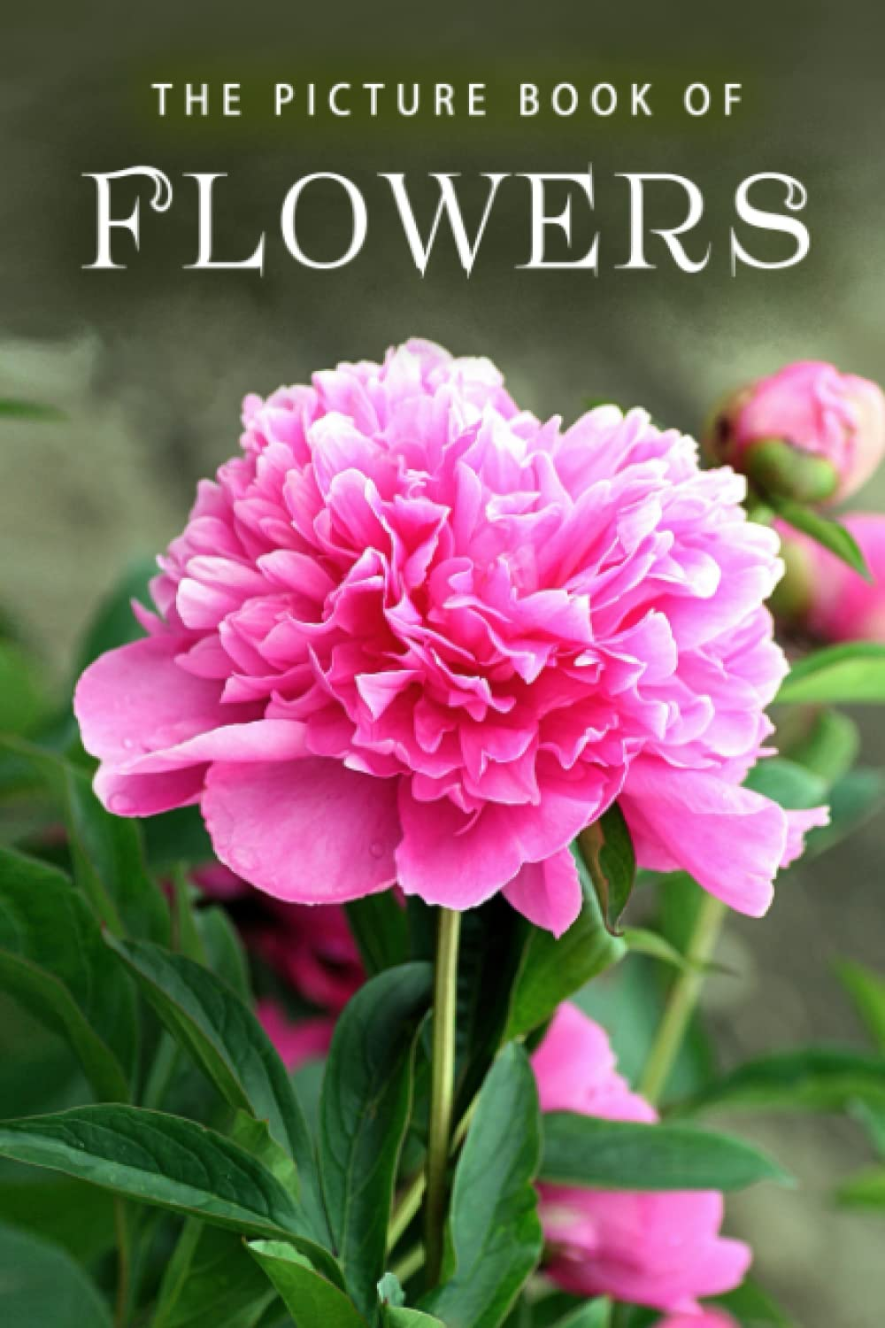 The Picture Book of Flowers: a Gift Book for Alzheimer'S Patients and Seniors with Dementia: 10 image number 1