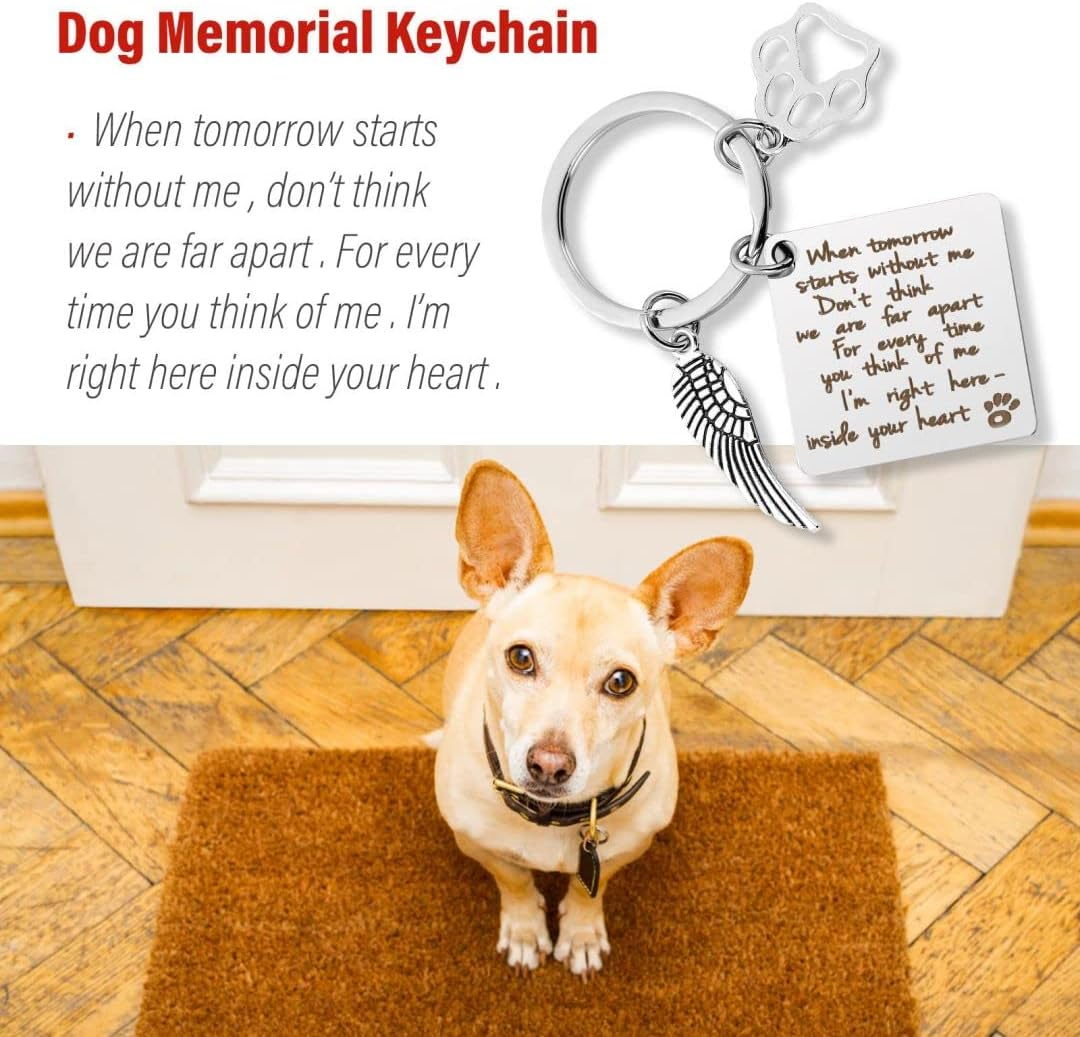 Memorial Keychain with Paw Charm, Keyring for Pets with Paw Prints, Pet Memorial Key Chain, Cat Paw for Car Keys, House Keys, Stainless Steel image number 3