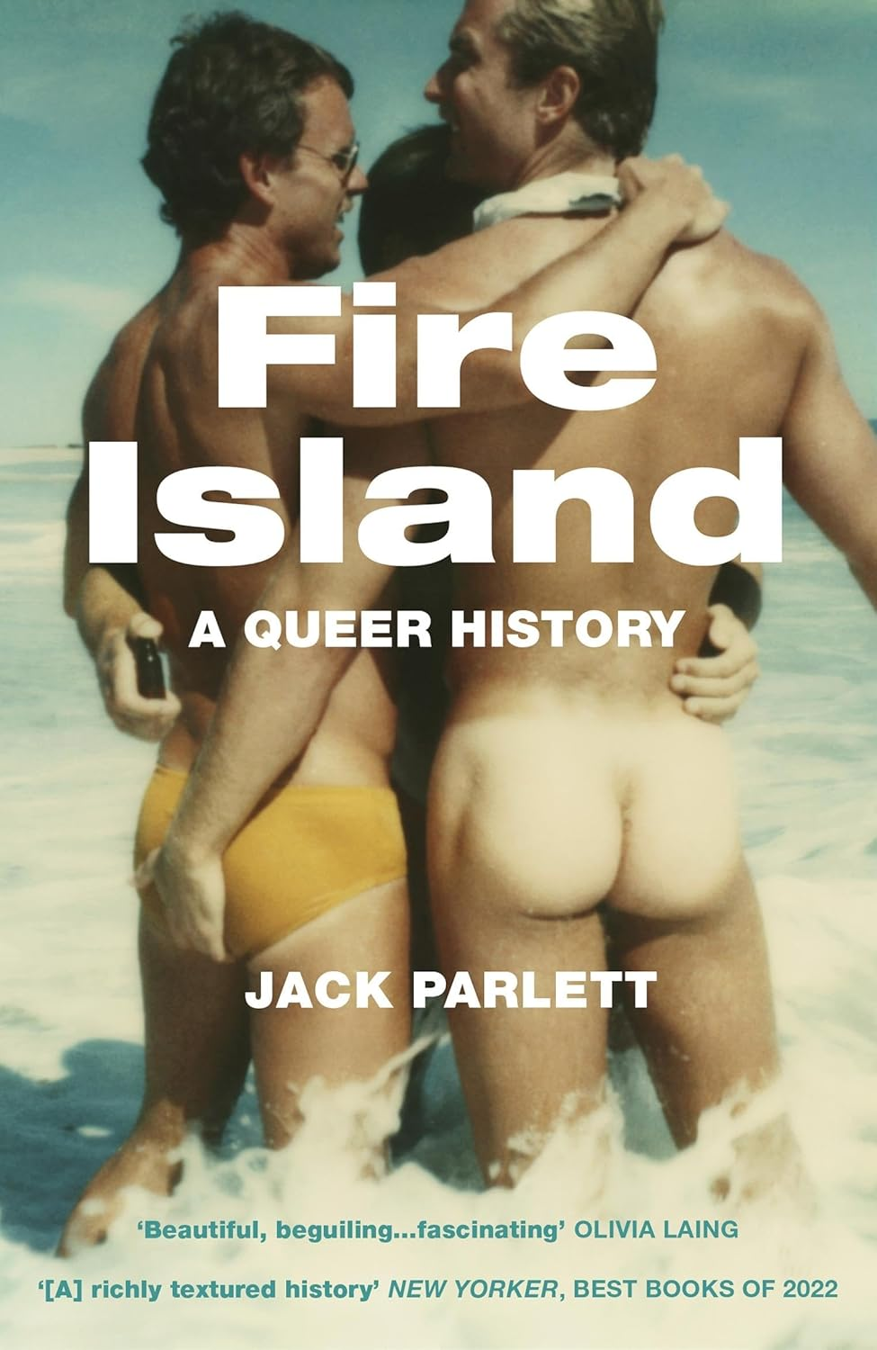 Fire Island: a Queer History image number 2