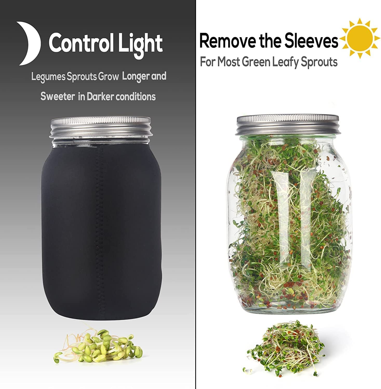 Complete Mason Jar Sprouting Kit. 2 Wide Mouth Quart Sprouting Jars with 316 Stainless Steel Sprouting Lids, Drip Tray and Stand image number 2