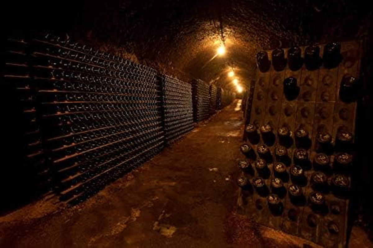 Seppelt the Great Entertainer Prosecco Sparkling Wine Non-Vintage, 750 Ml (Pack of 6) image number 6