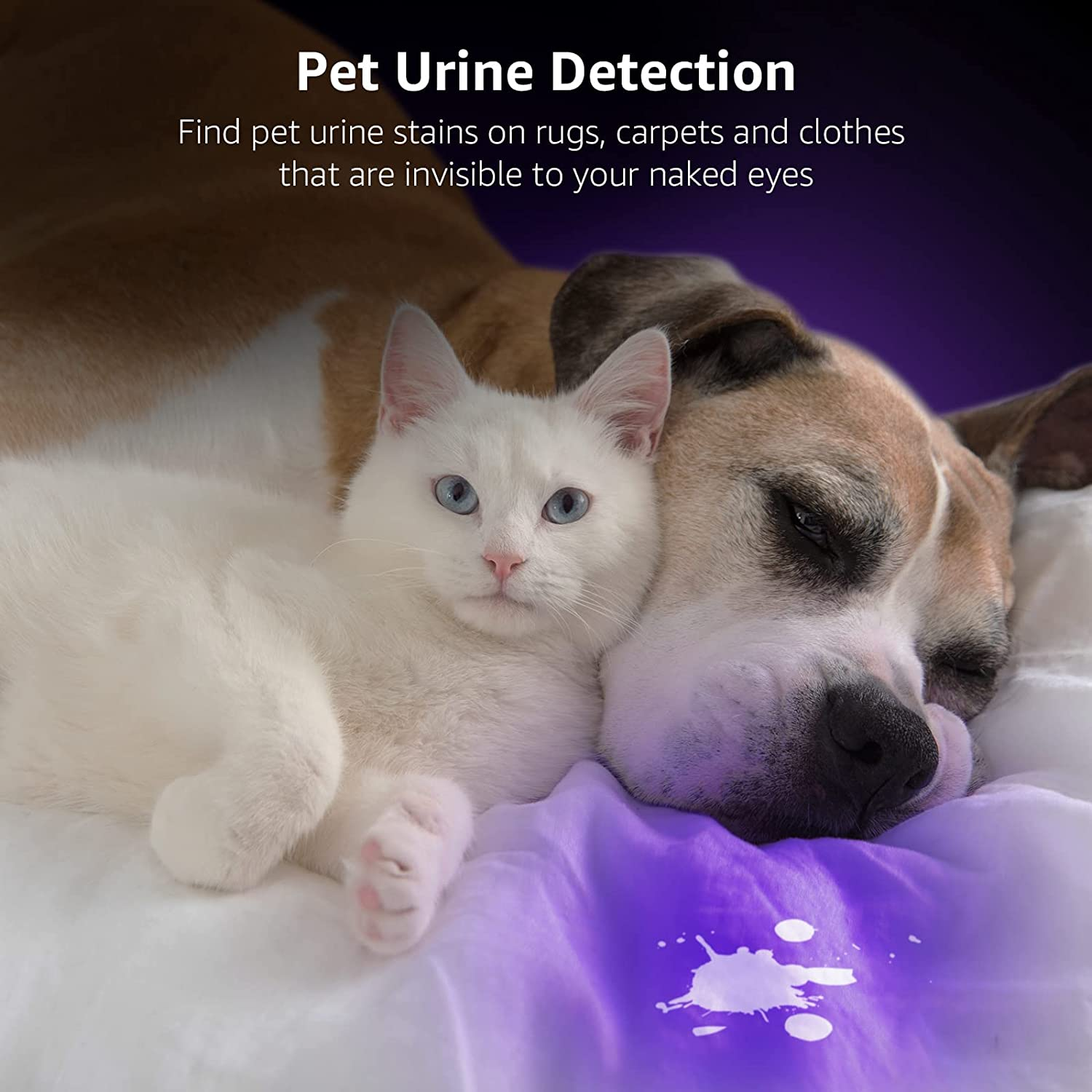 Lepro UV Torch, 51 LED UV Light Torch, 395Nm Ultraviolet Flashlight, Blacklight Detector for Pet Urine, Stain, Bed Bugs, Banknote and More image number 1