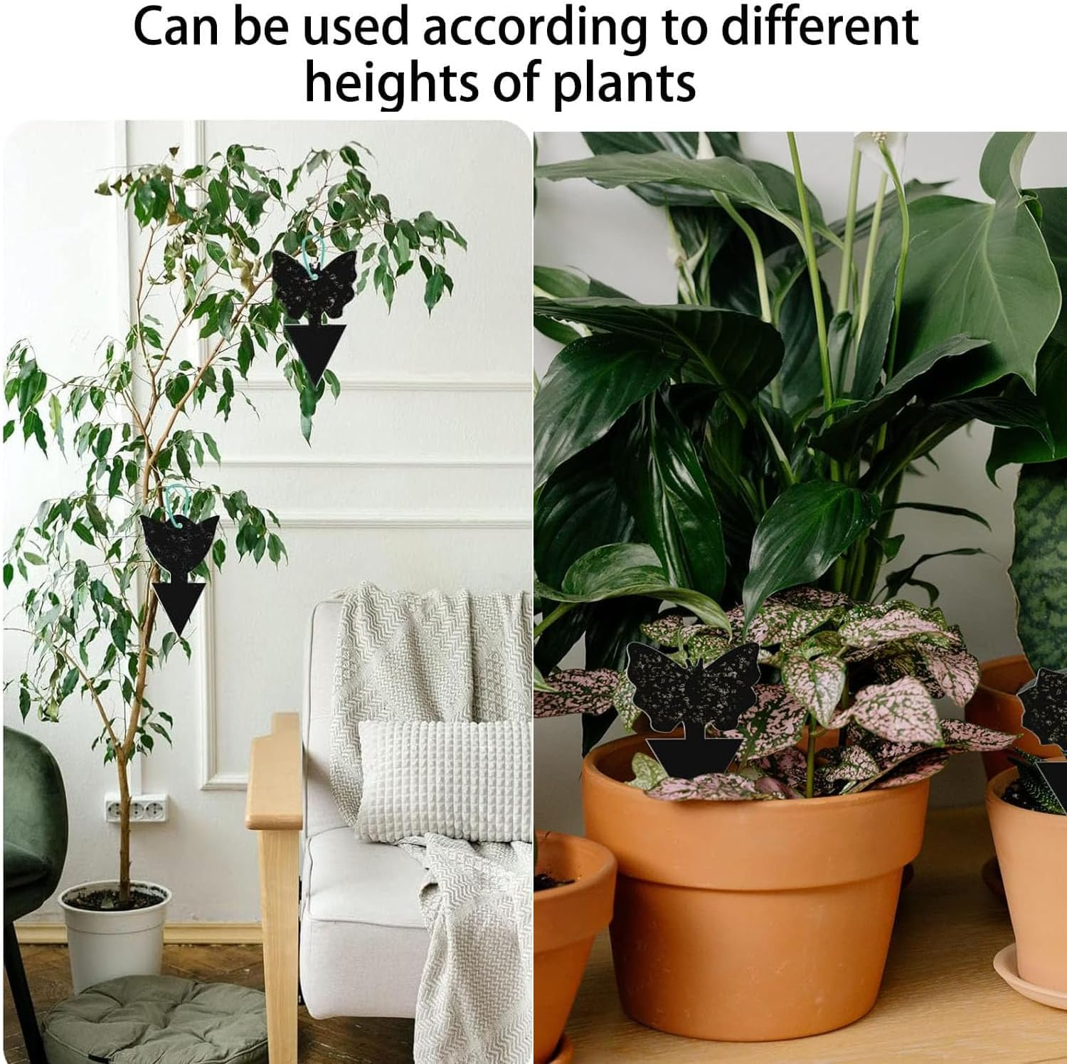 50 Pack Sticky Dual-Sided Gnat Traps,Fruit Fly Trap with Punch Hole,Fungus Gnat Non-Toxic and Odorless for Mosquitoes,Houseplant, Garden,With Twist Ties and Small Shovel (Black)