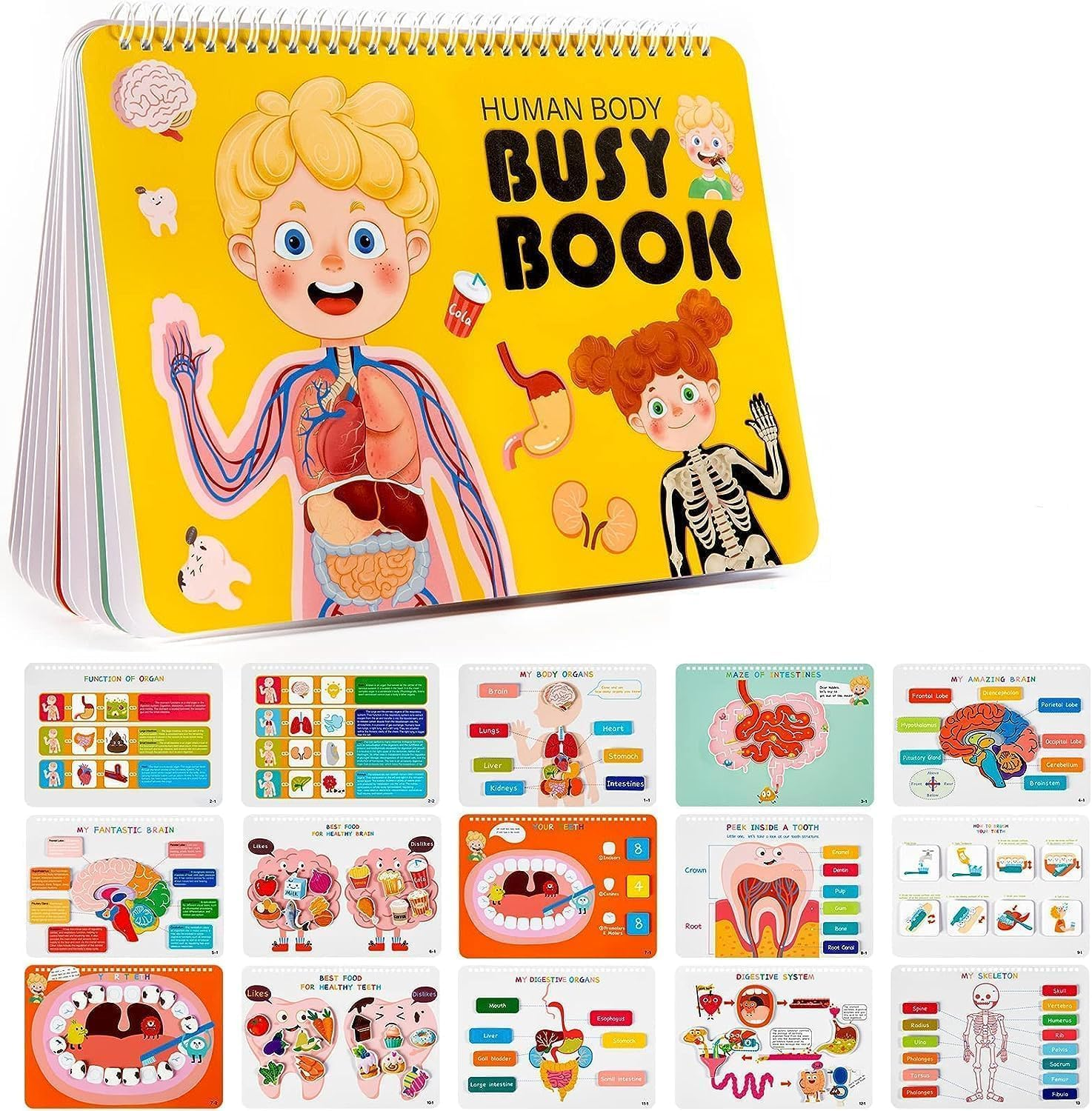Epzia Montessori Busy Book for Kids, Sensory Toys, Toddler Toys, Human Body Anatomy Book, Montessori Toys for Toddlers, Preschool Learning Activities, Travel Gifts for Ages 4 to 8 image number 4