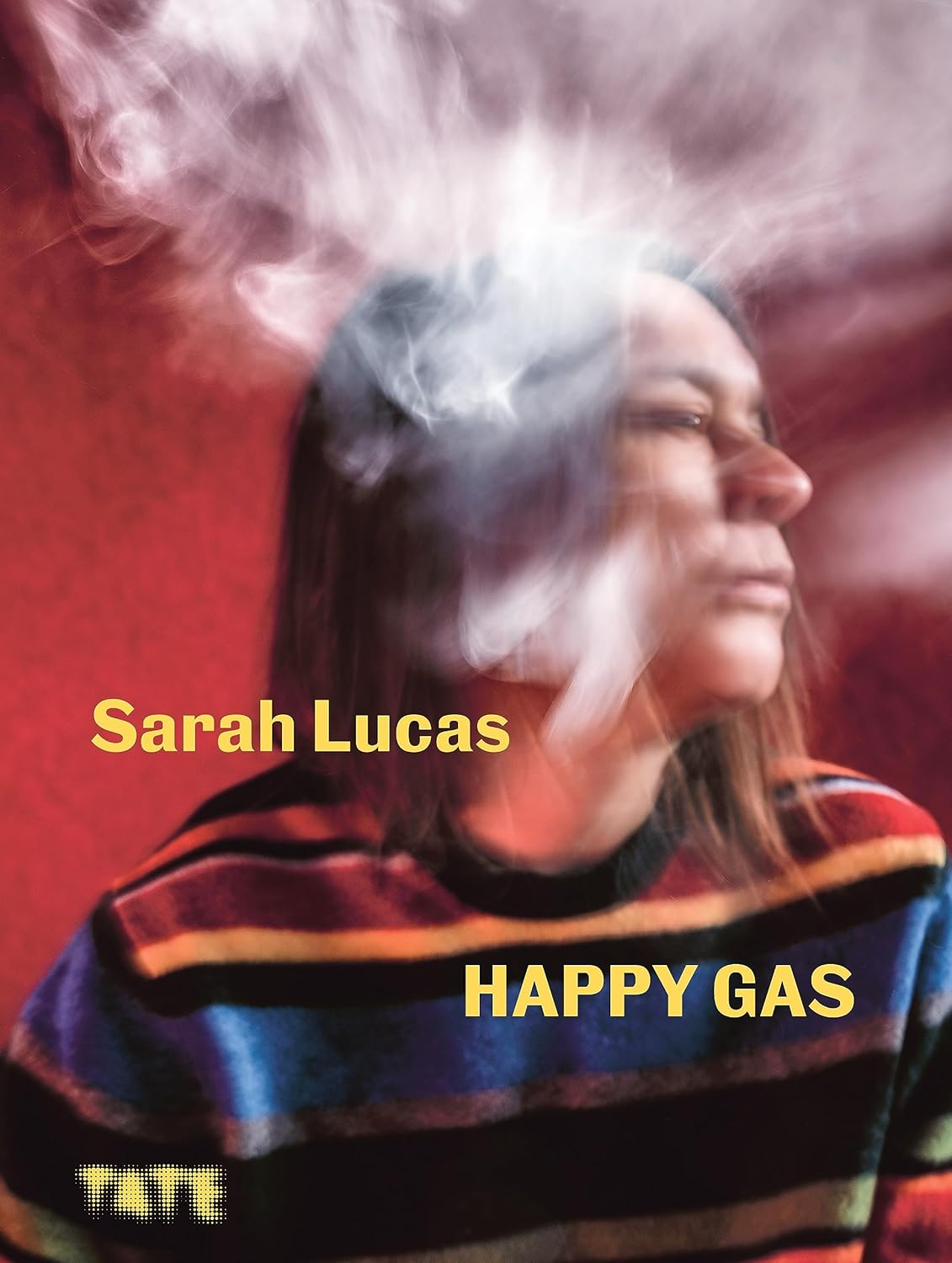 Sarah Lucas: Happy Gas image number 1