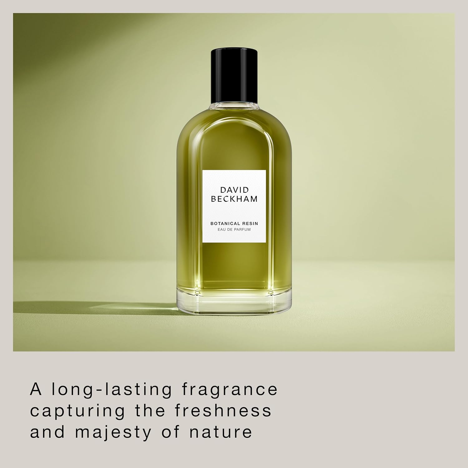 David Beckham Collection Botanical Resin Eau De Parfum for Men, Fresh and Aromatic, Long Lasting Fragrance, 100Ml image number 3