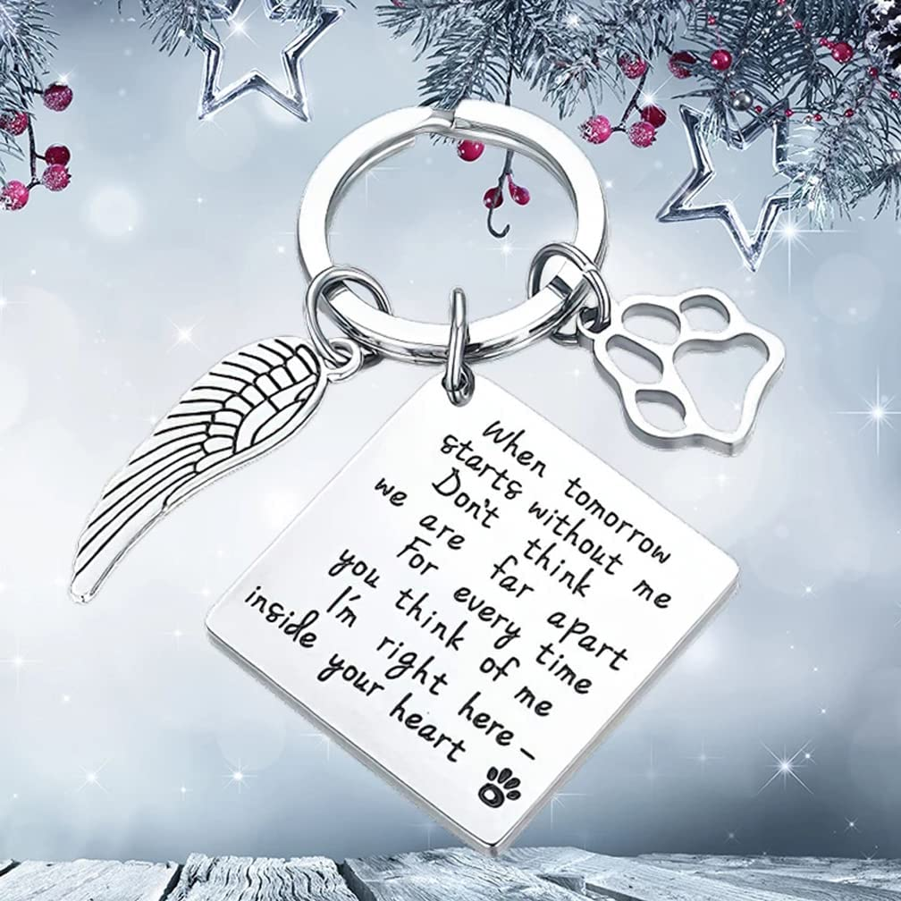 Pet Memorial Gift Loss of Dog Keychain Sympathy Loss of Cat Gift Pet Loss Keyring in Memory of Dog Pet Sympathy Cat Lover Family Friends Remembrance Gifts (Memorial A) image number 4