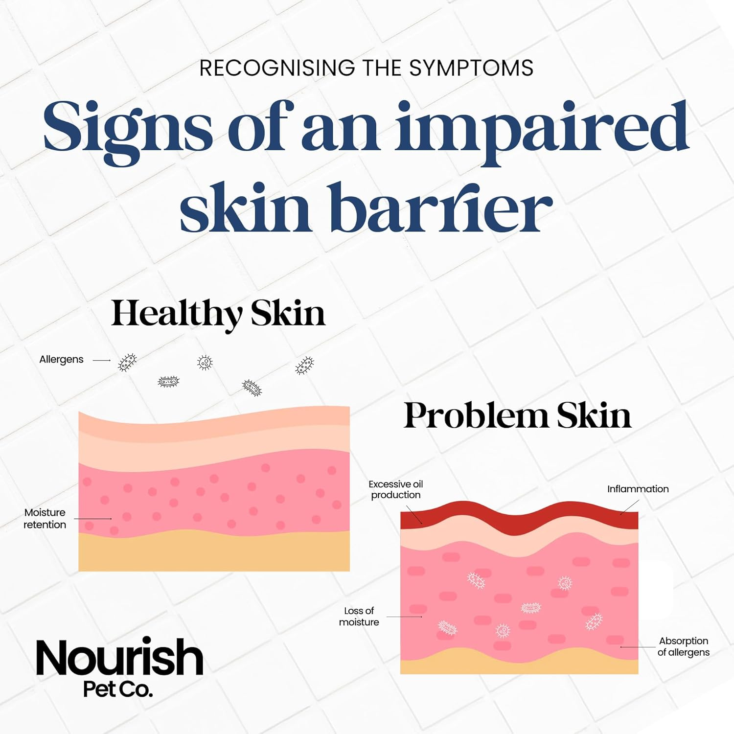 Nourish Pet Co. Derma Shampoo for Itchy Dogs - Dog Shampoo for Sensitive Skin, Hypoallergenic Gentle Cleansing Wash, Soothes Dryness & Irritation, Supports Coat Health