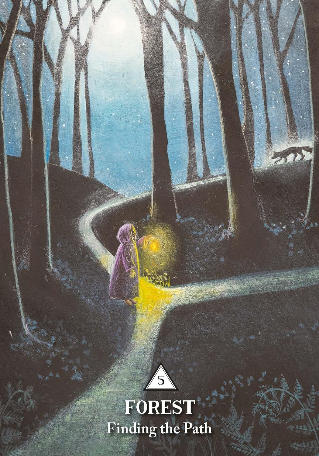 Rooted Woman Oracle; The: a 53-Card Deck and Guidebook image number 3