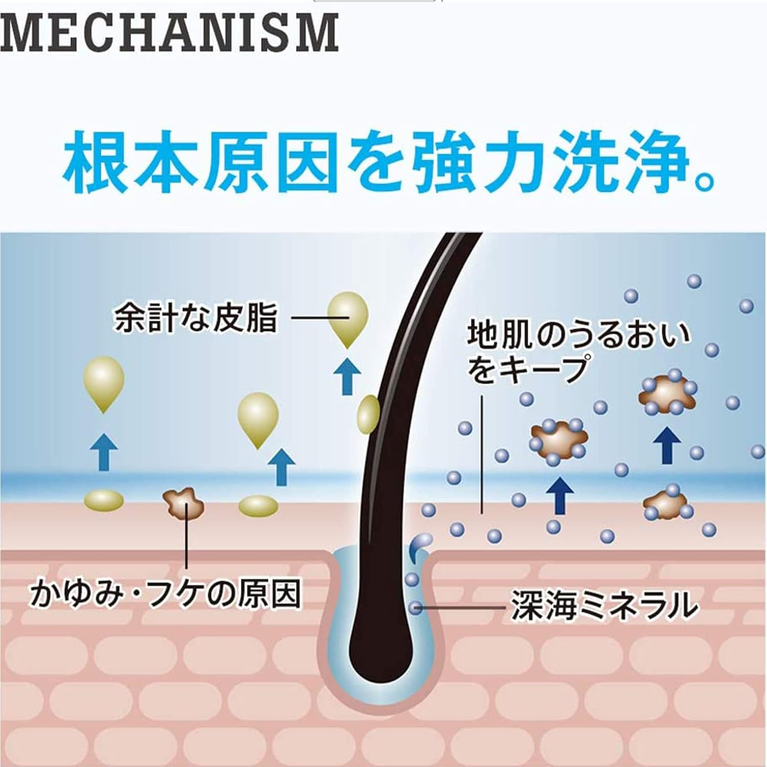 H&S for Men Volume up Shampoo, Refill, 10.6 Oz (300 G) X 2 Pieces Set image number 6