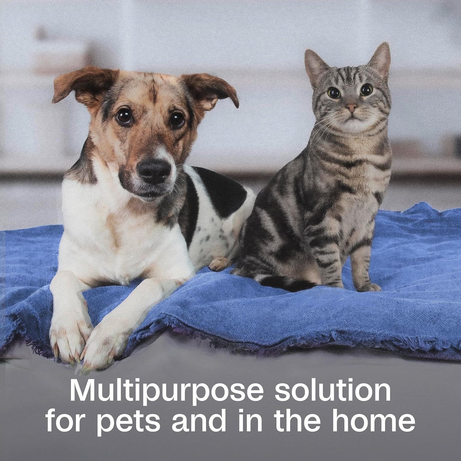 Adams Botanicals Flea and Tick Pet and Home Spray, Kills Fleas and Ticks; Plant-Based Protection with Essential Oils; Controls Fleas and Ticks in Pet Bedding; 16 Ounces image number 5