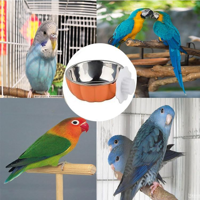 Limcryspp Stainless Steel Anti-Spillage Bird Food Bowl, Hanging Parrot Food Basin, Suitable for Indoor and Outdoor Cage Keeping of Black Phoenix, Peony and Tiger Parrots to Prevent Overturning (Big) image number 5