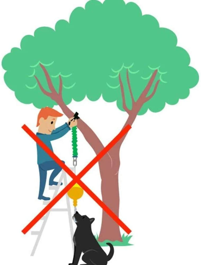 Aussie Dog Home Alone, XL, XL, Yellow image number 4