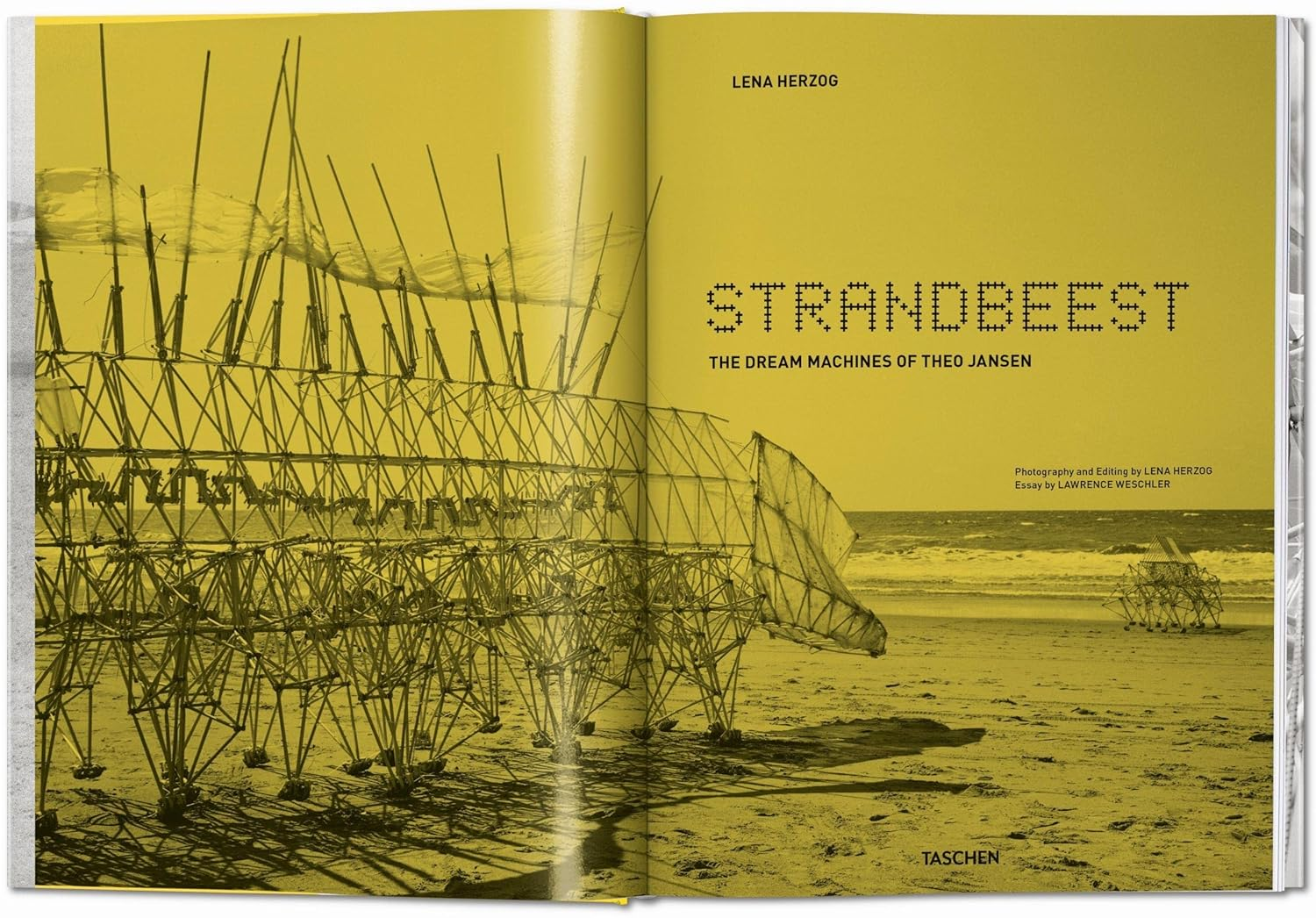 Lena Herzog. Strandbeest. the Dream Machines of Theo Jansen