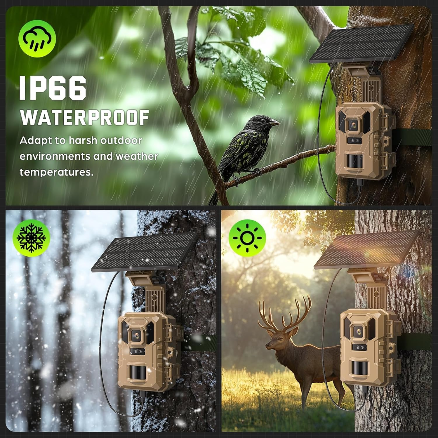 Trail Camera 4K 64MP, Wifi Game Camera with Night Vision, 32GB SD Card, Solar Power, 0.2S Trigger Speed, IP66 Waterproof image number 6