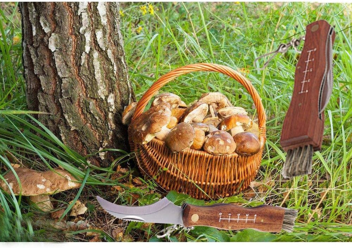 Run-Snail Mushroom Knife, Fungus Knife, Folding Camping Hunting Truffles Harvest Sharp Knives Natural Wood Handle Pocket Knife W/Bristle Brush, SS Pruning Blade, Hardwood Handle image number 6