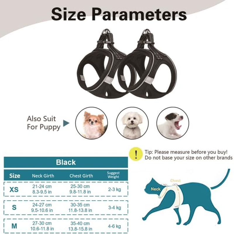 Cat Harness with Lead, Black Soft Harness, Cat Harness Harness, Cat Harness Lead Set, Harness for Cat, Chest Harness, Cat Harness, Cat Harness, Escape Proof, Adjustable, Black (S) image number 1